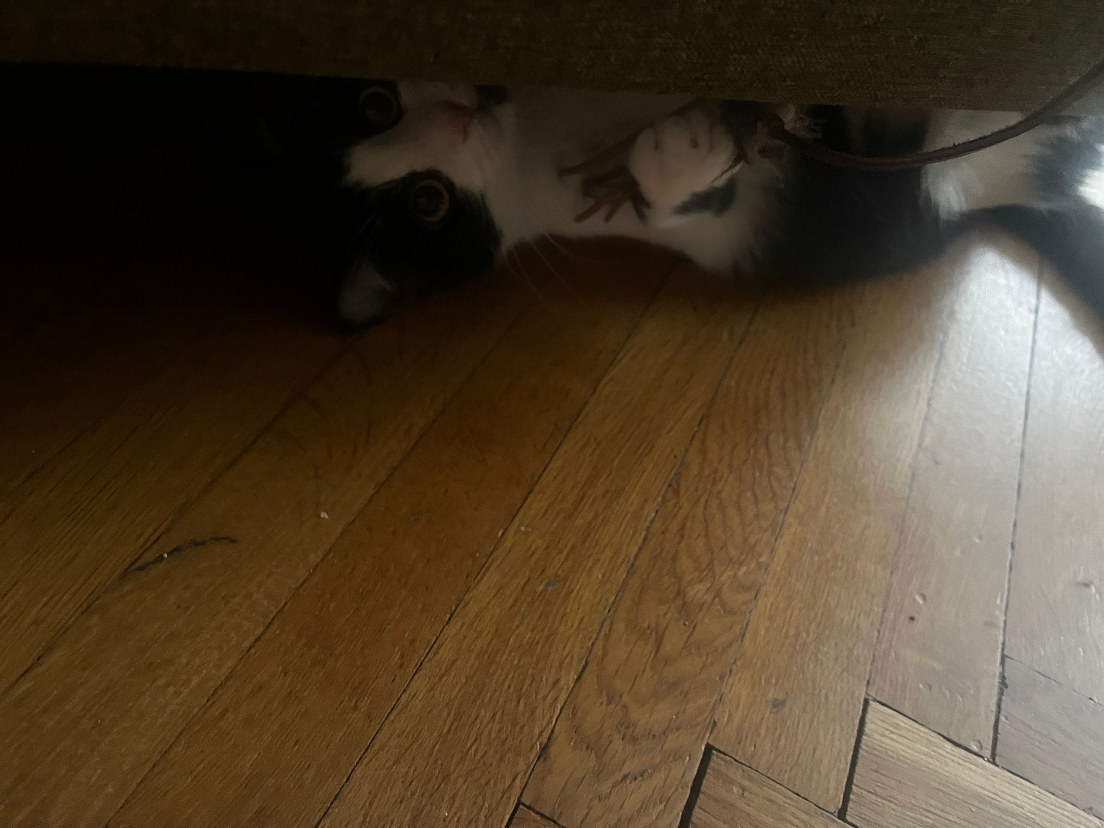 image-11