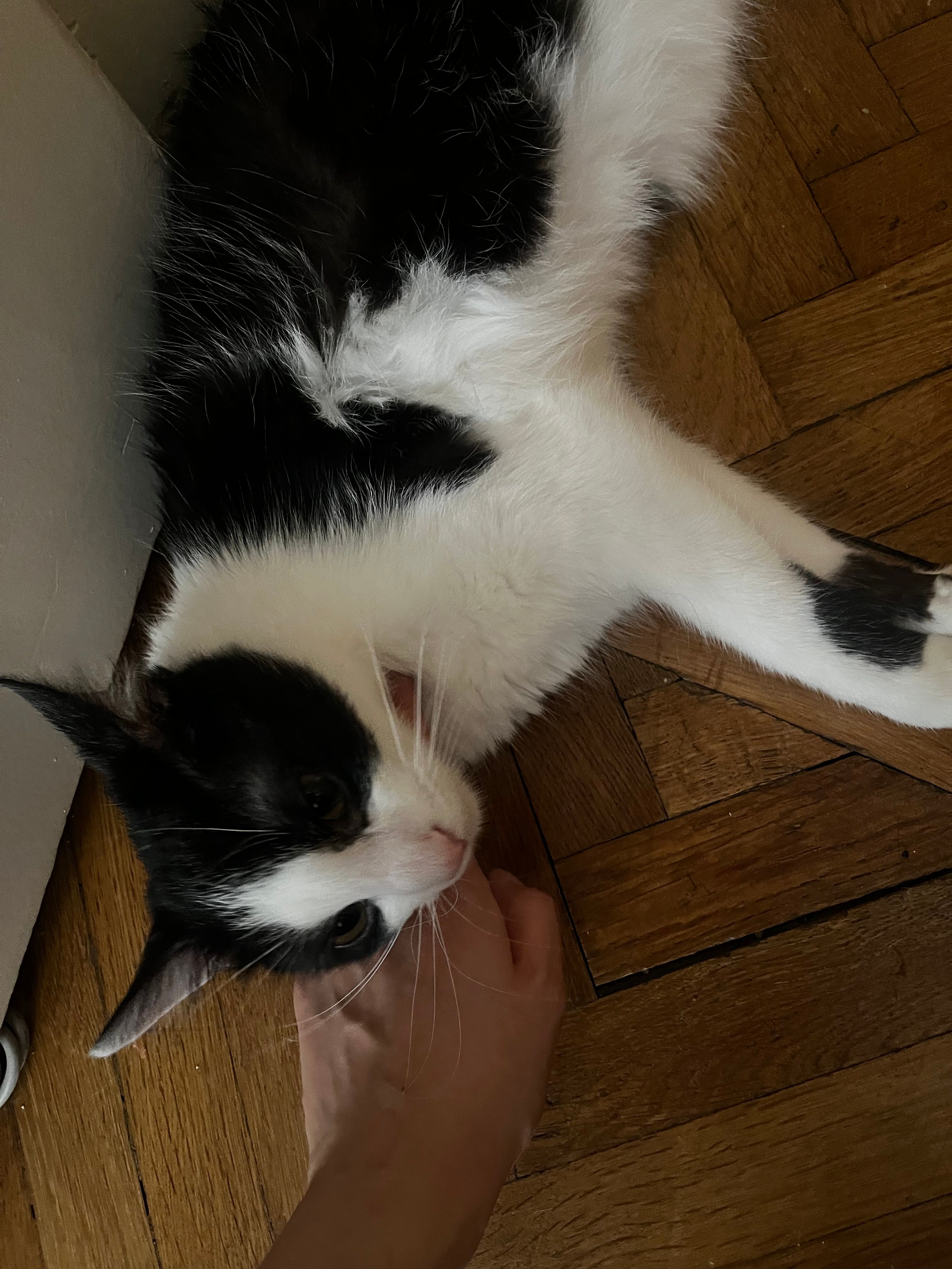 image-7