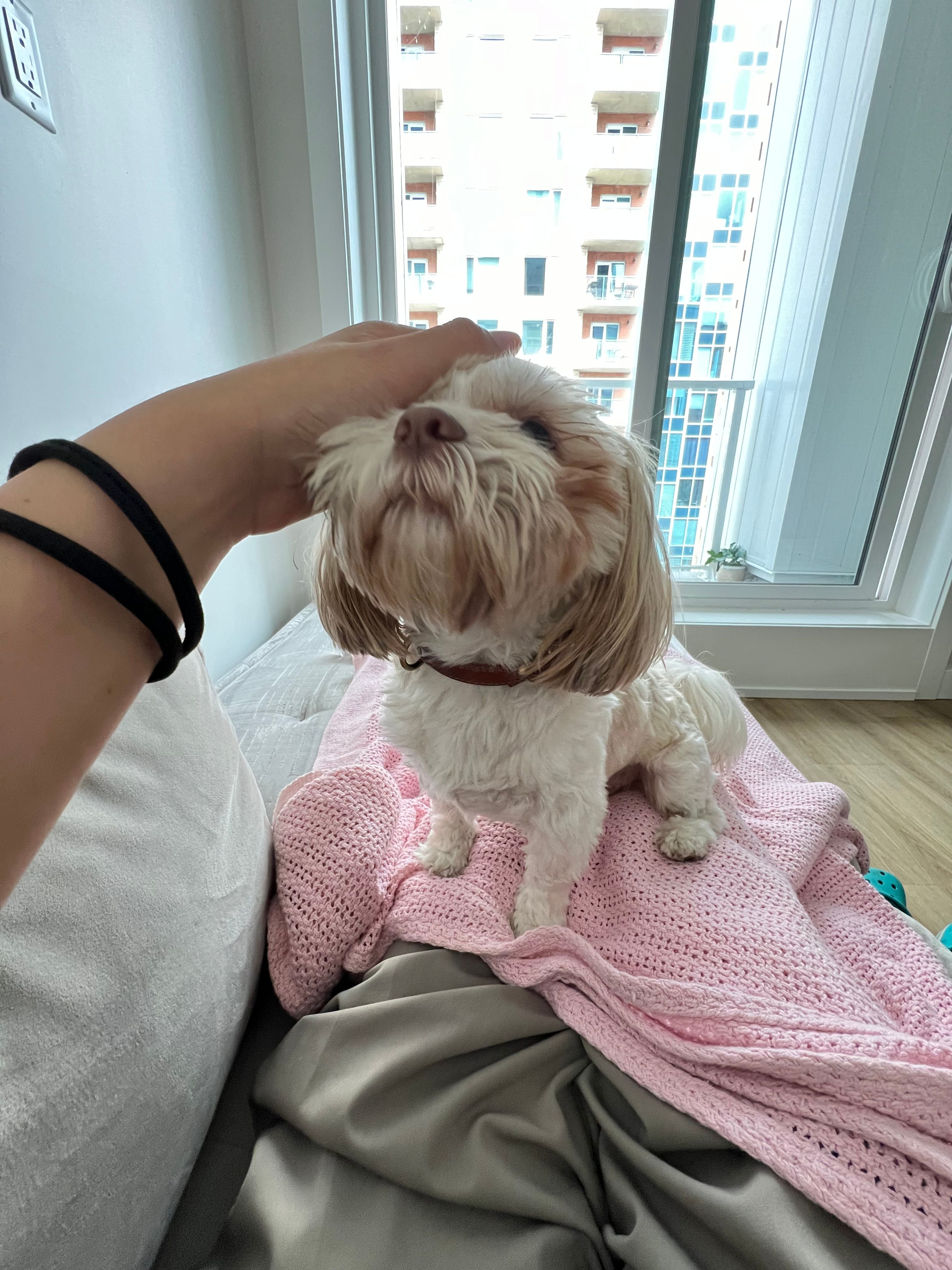 image-7