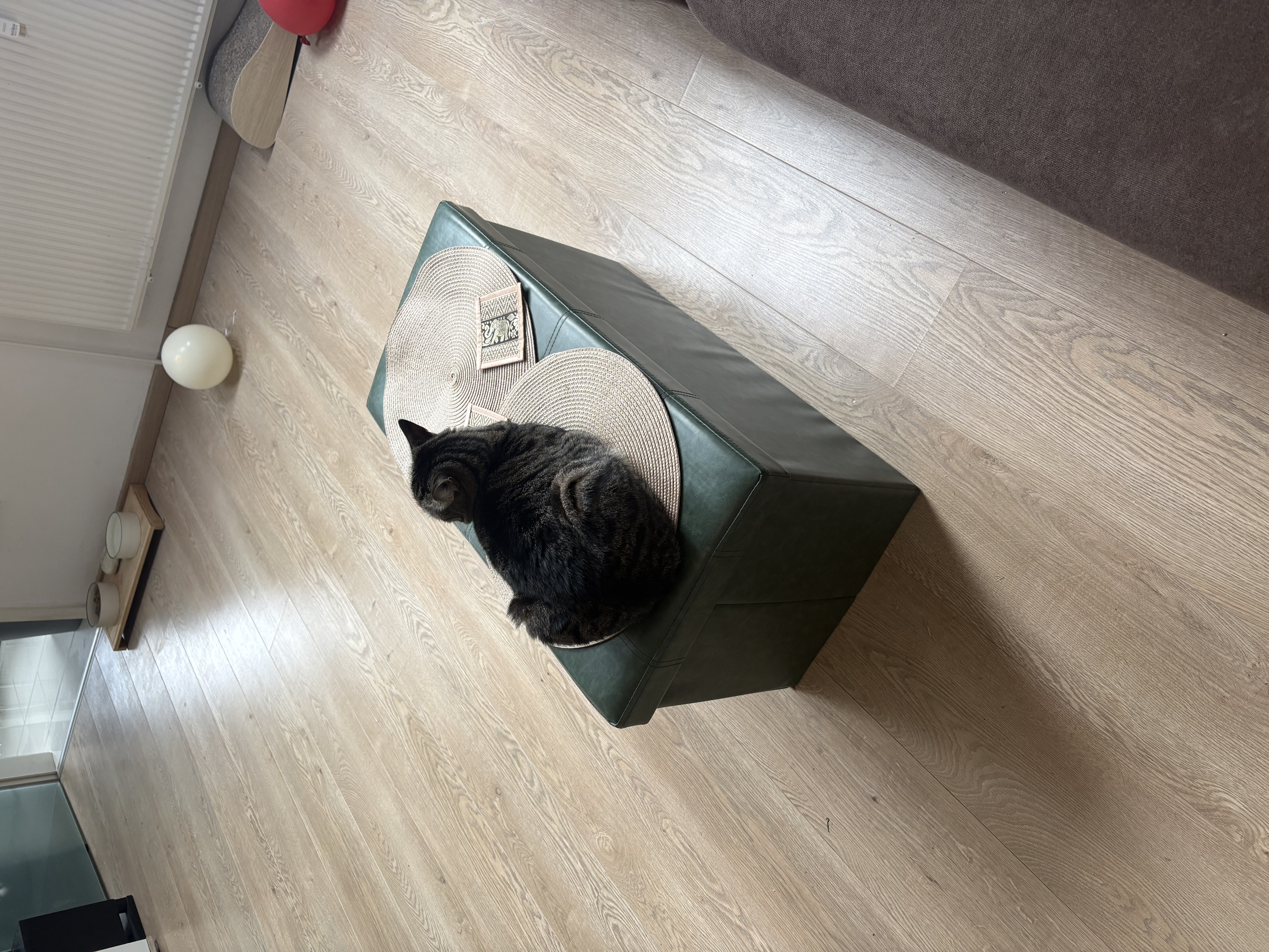 image-12