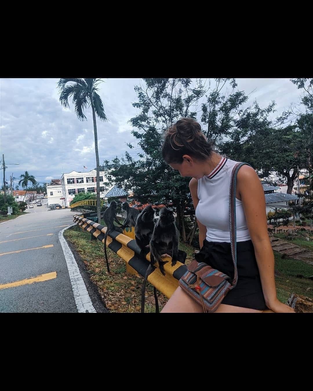 image-7