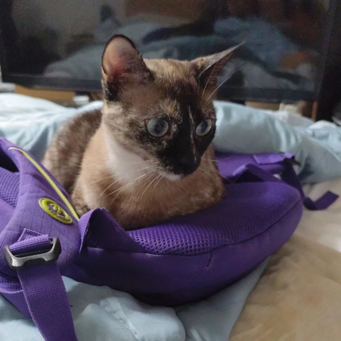 Kira