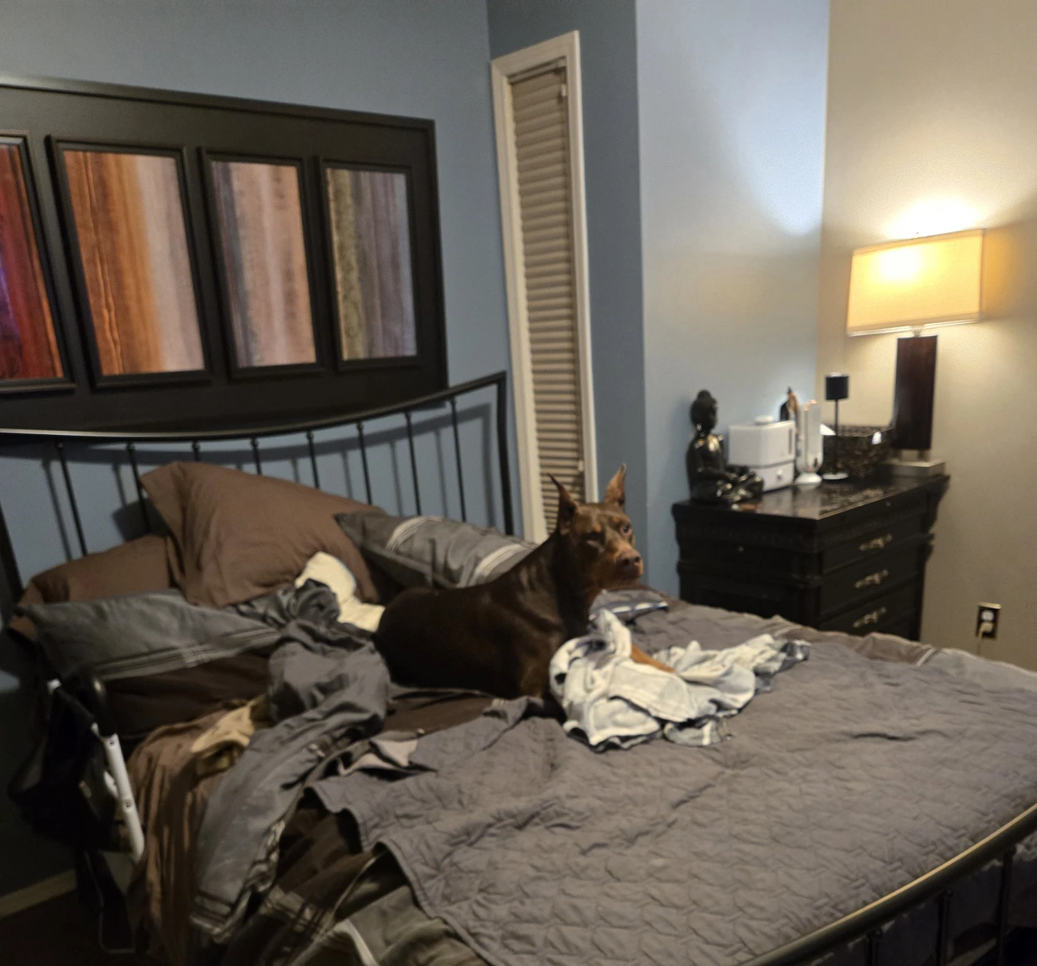 image-12