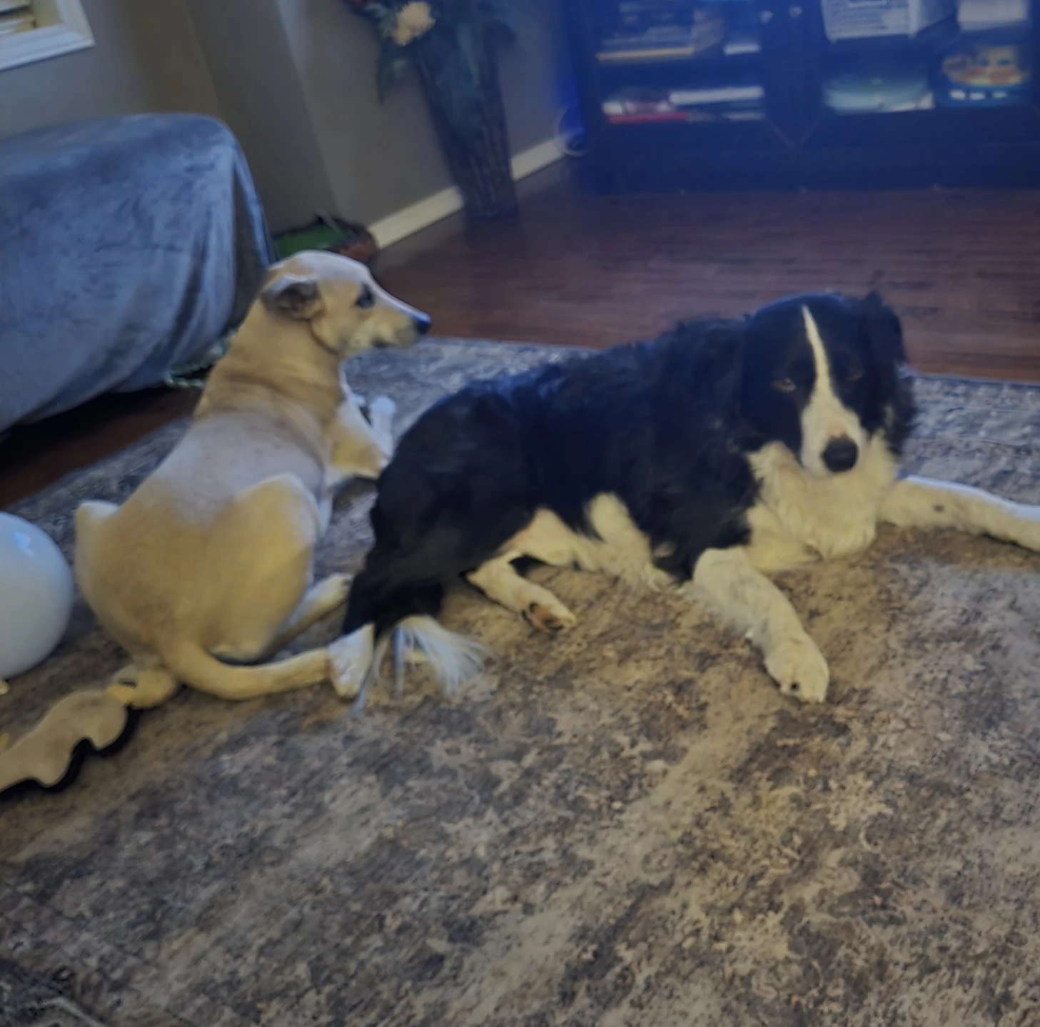 image-15