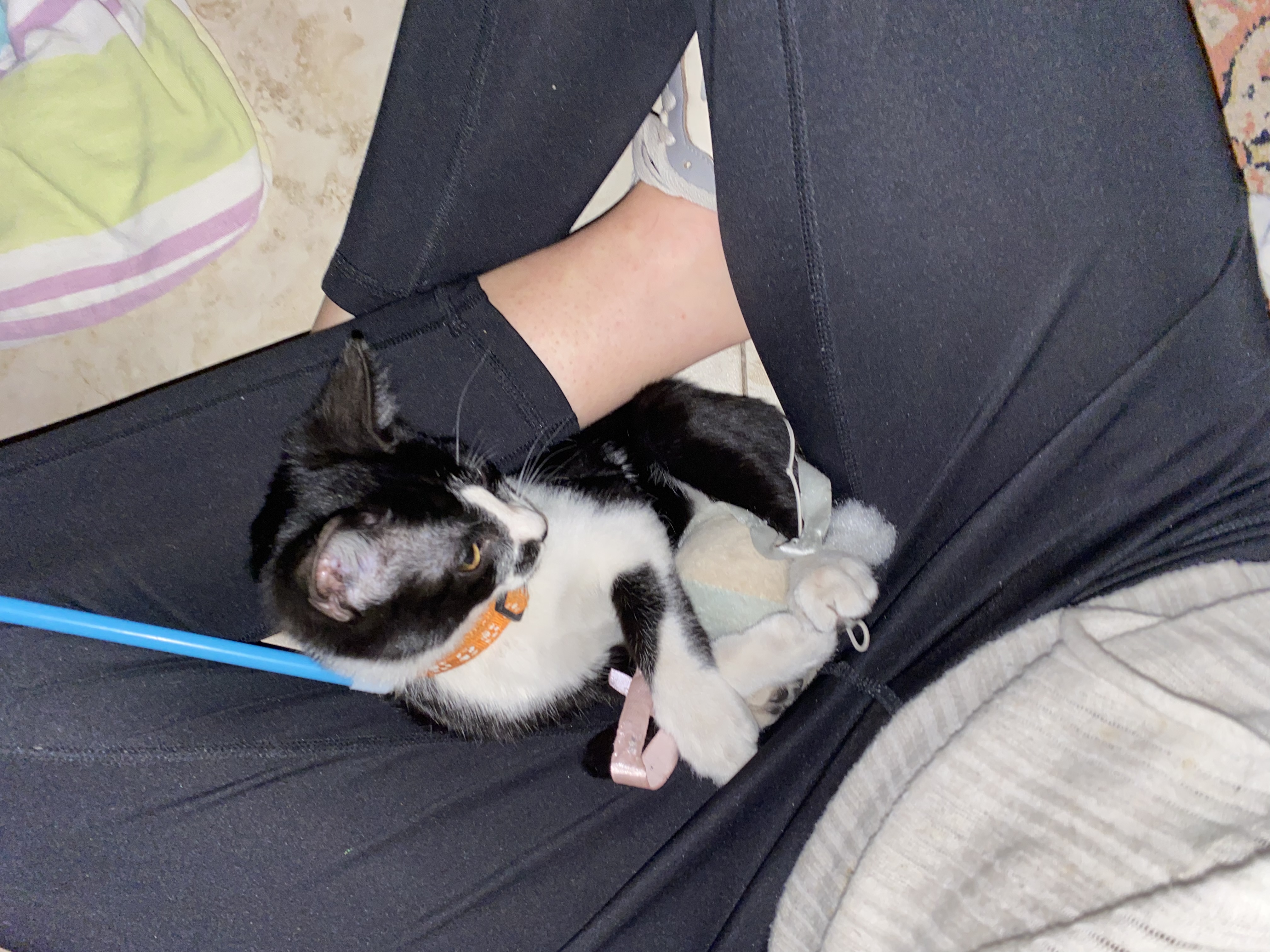image-5