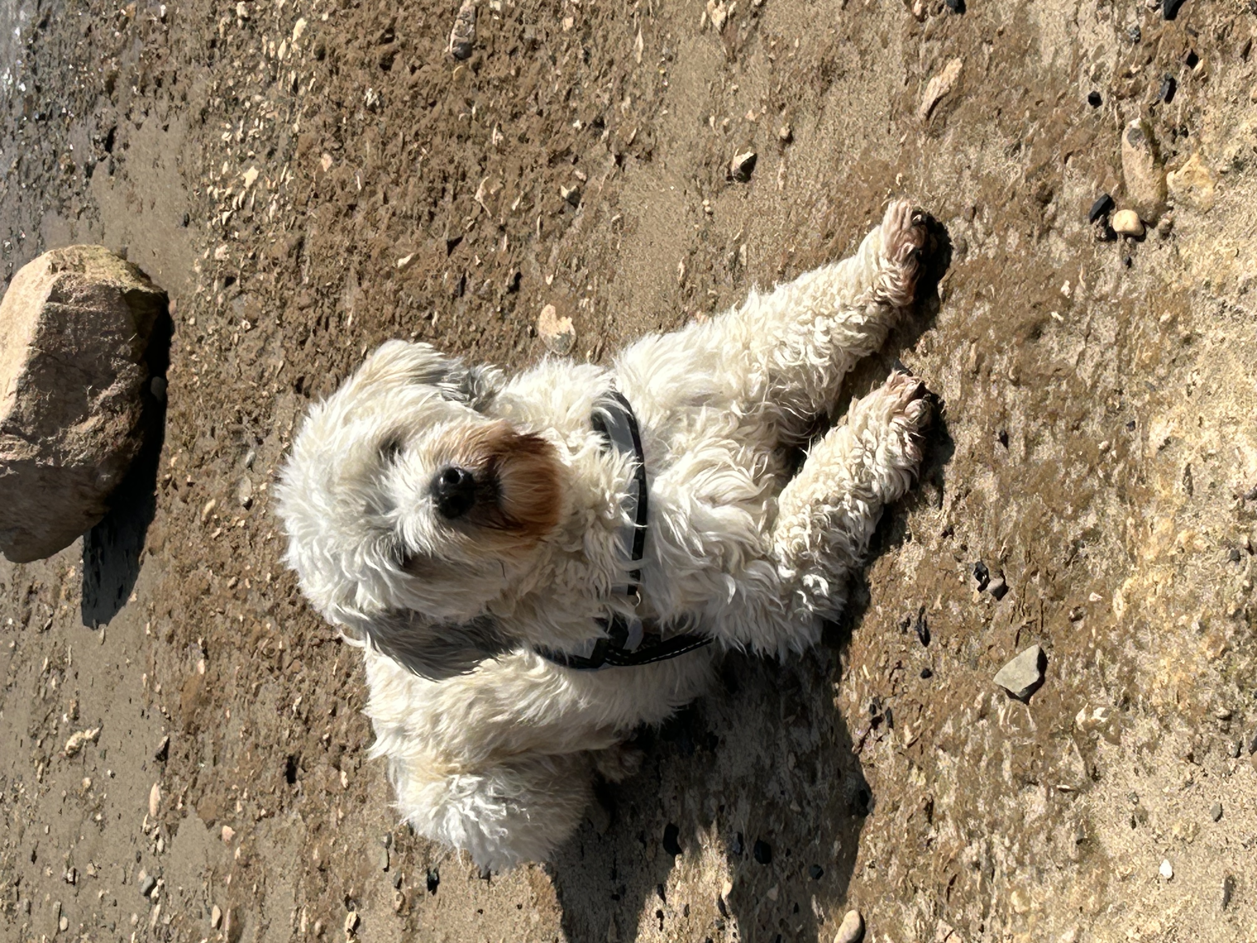 image-5