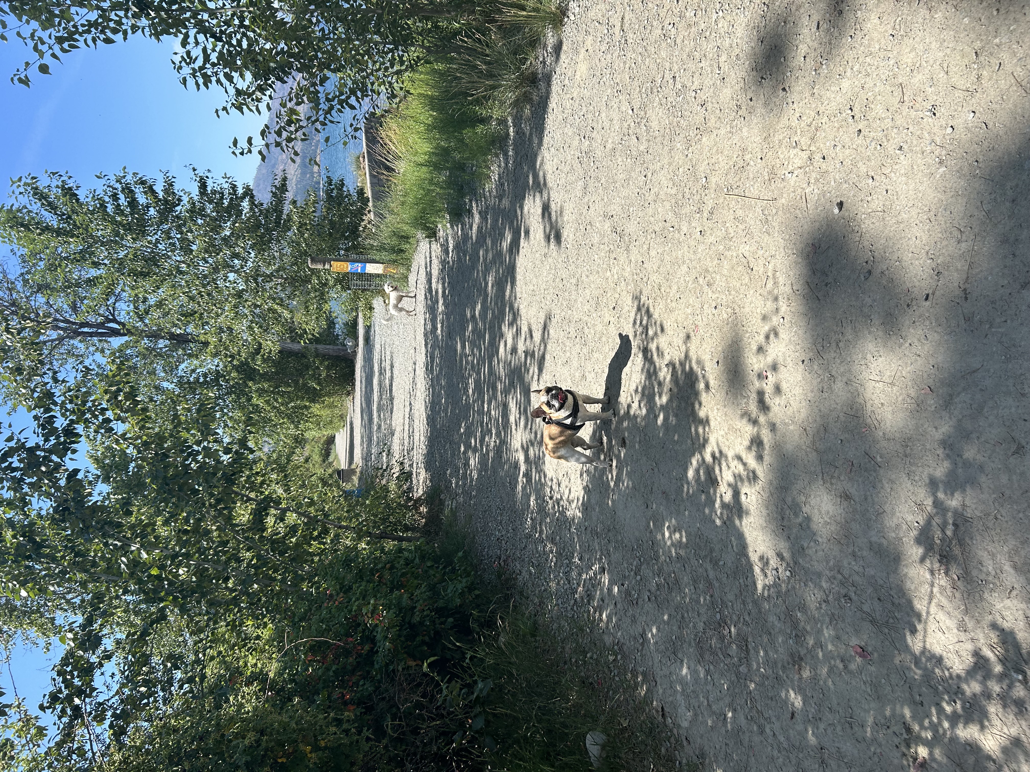image-8