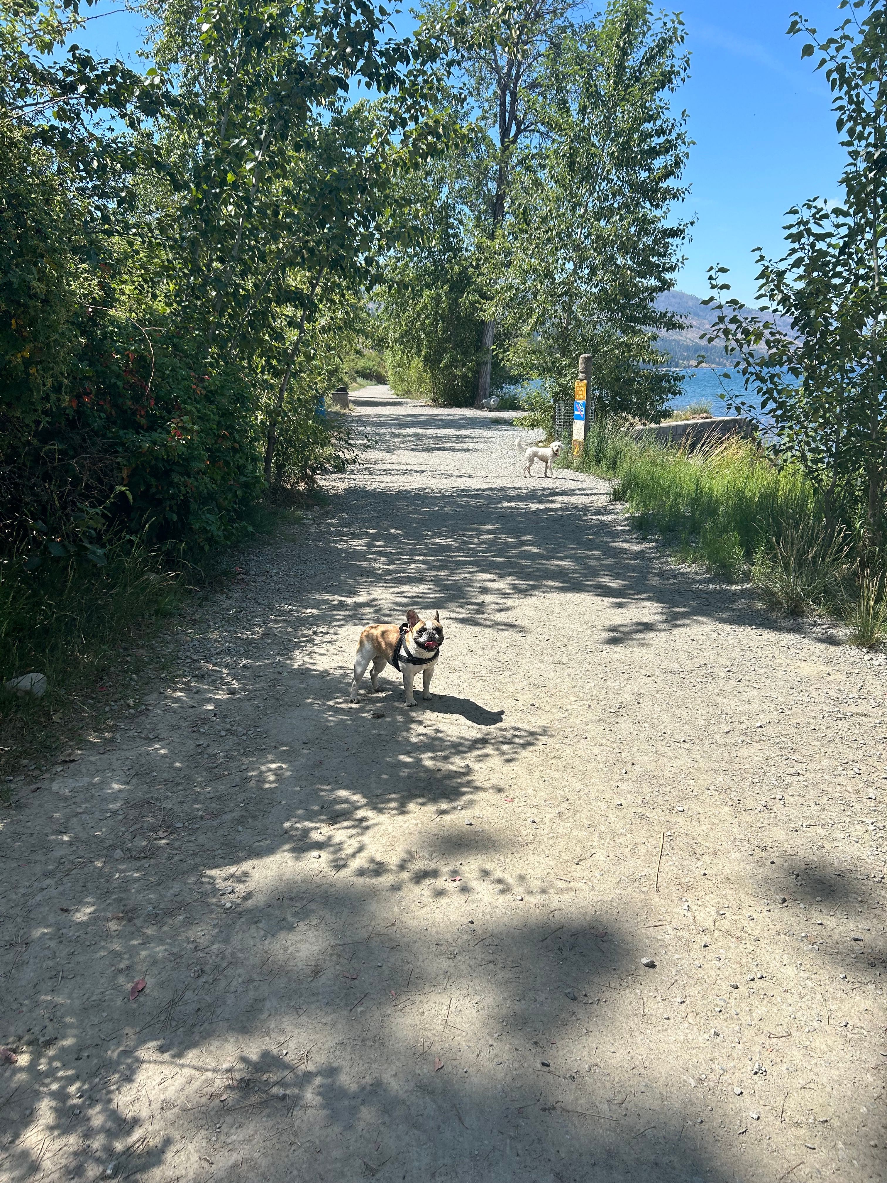image-8