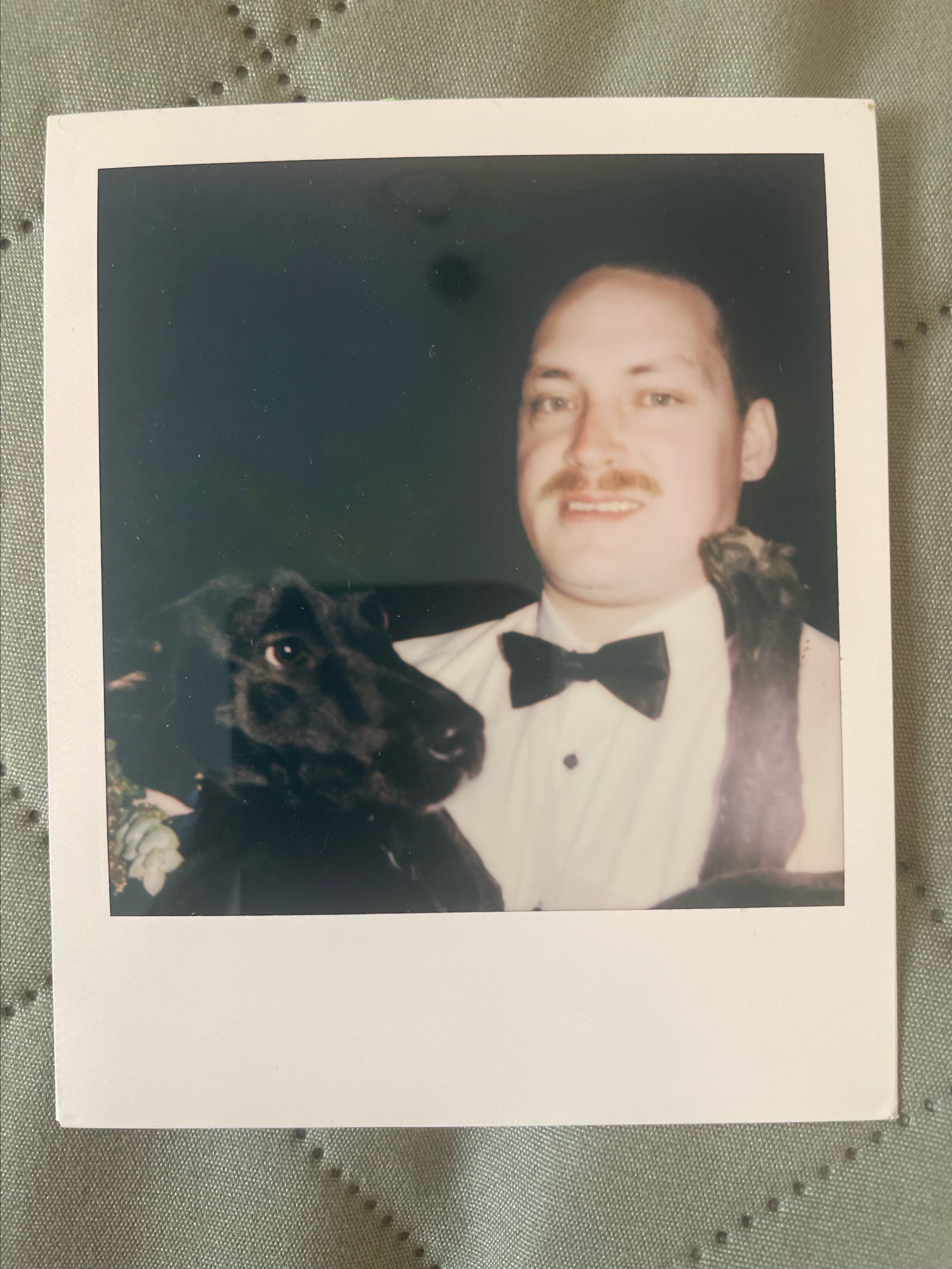 image-6