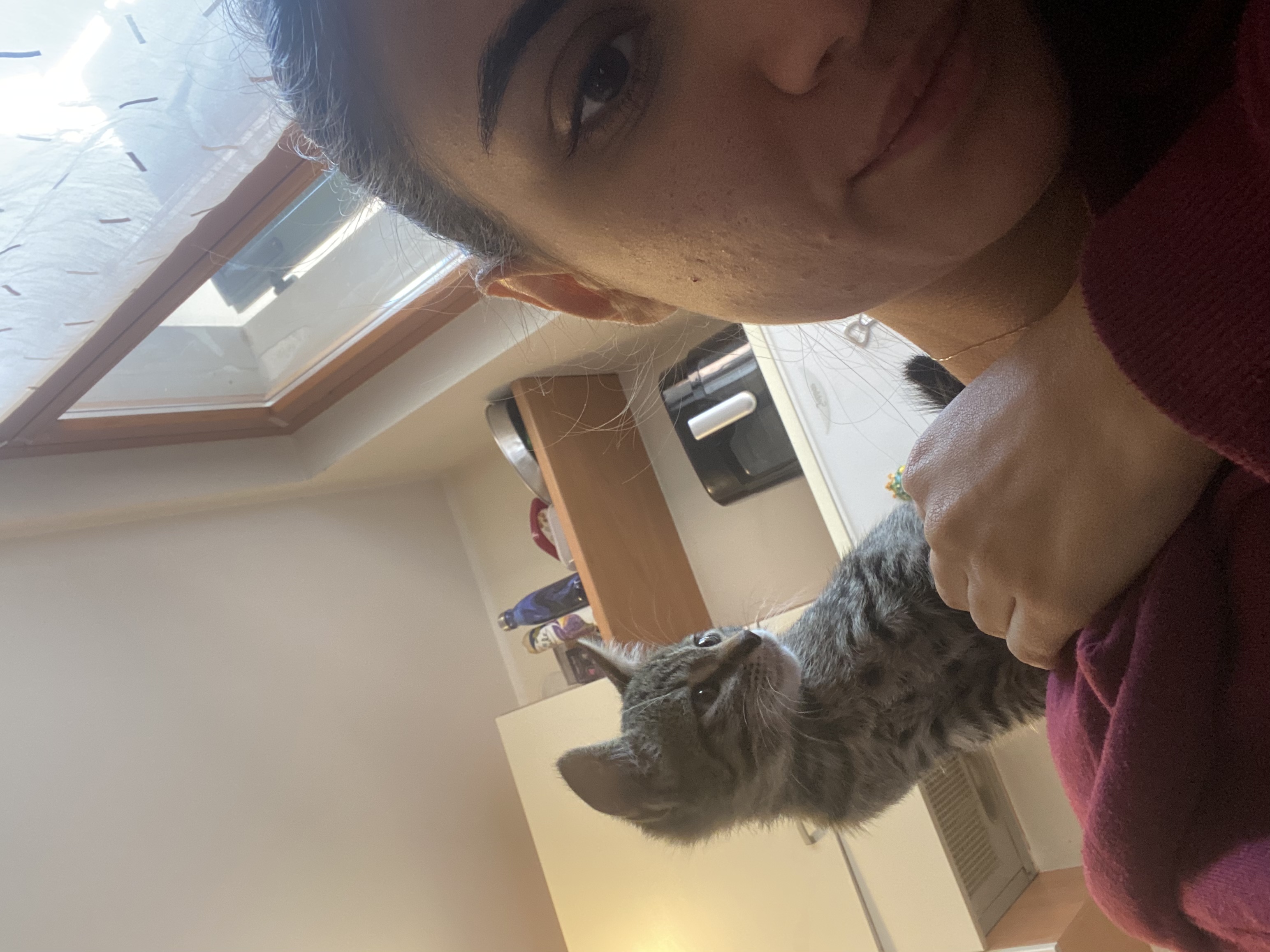 image-11