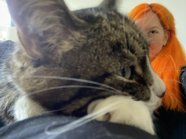 image-8