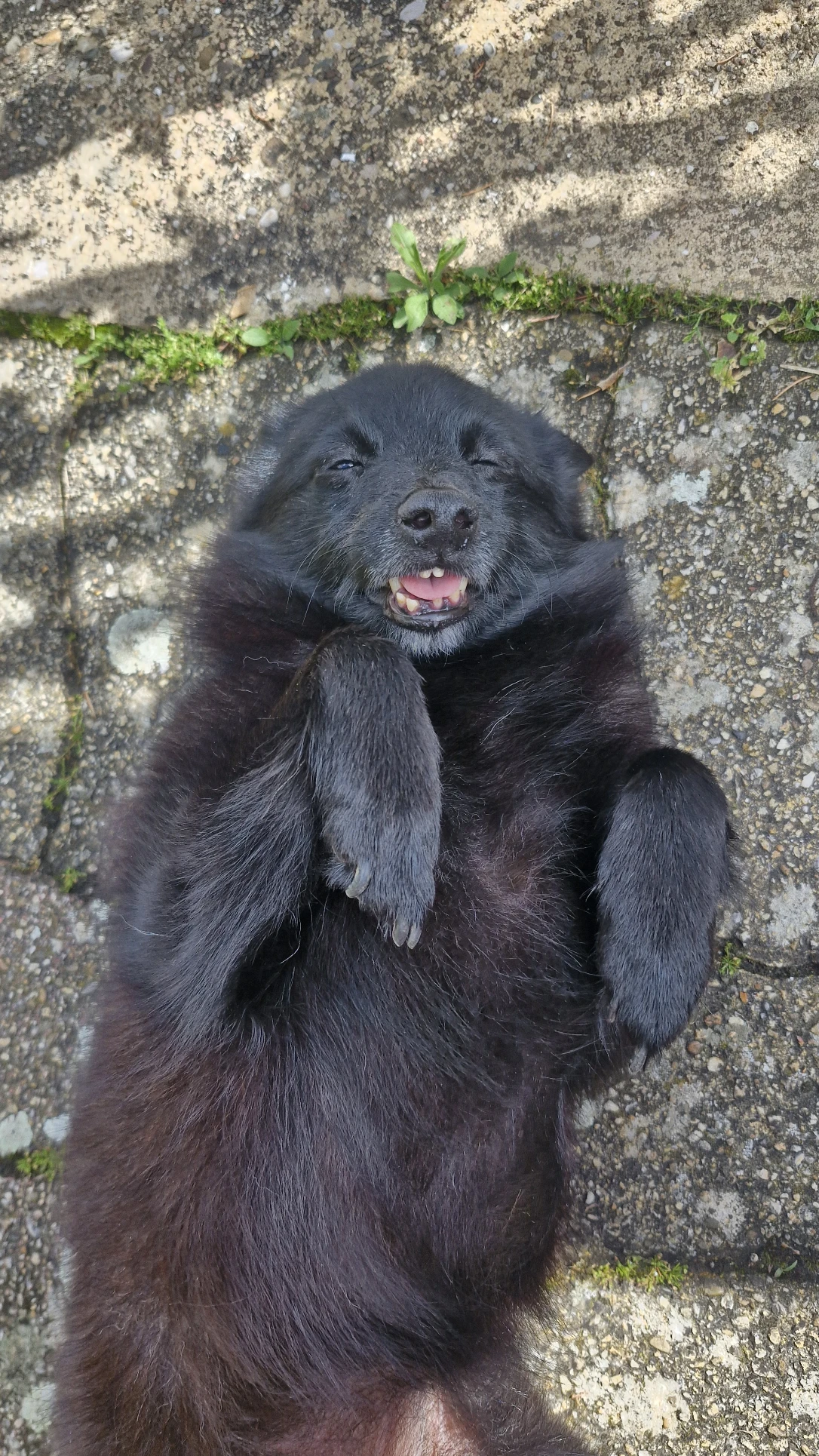 image-5