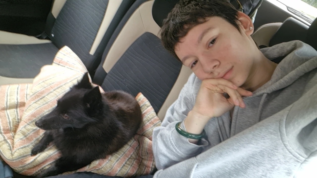 image-6