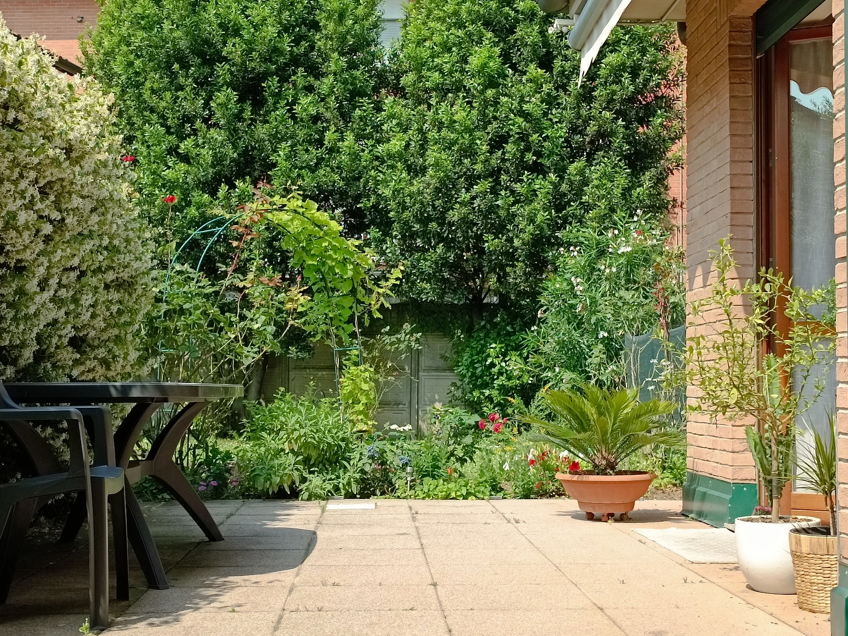 image-22