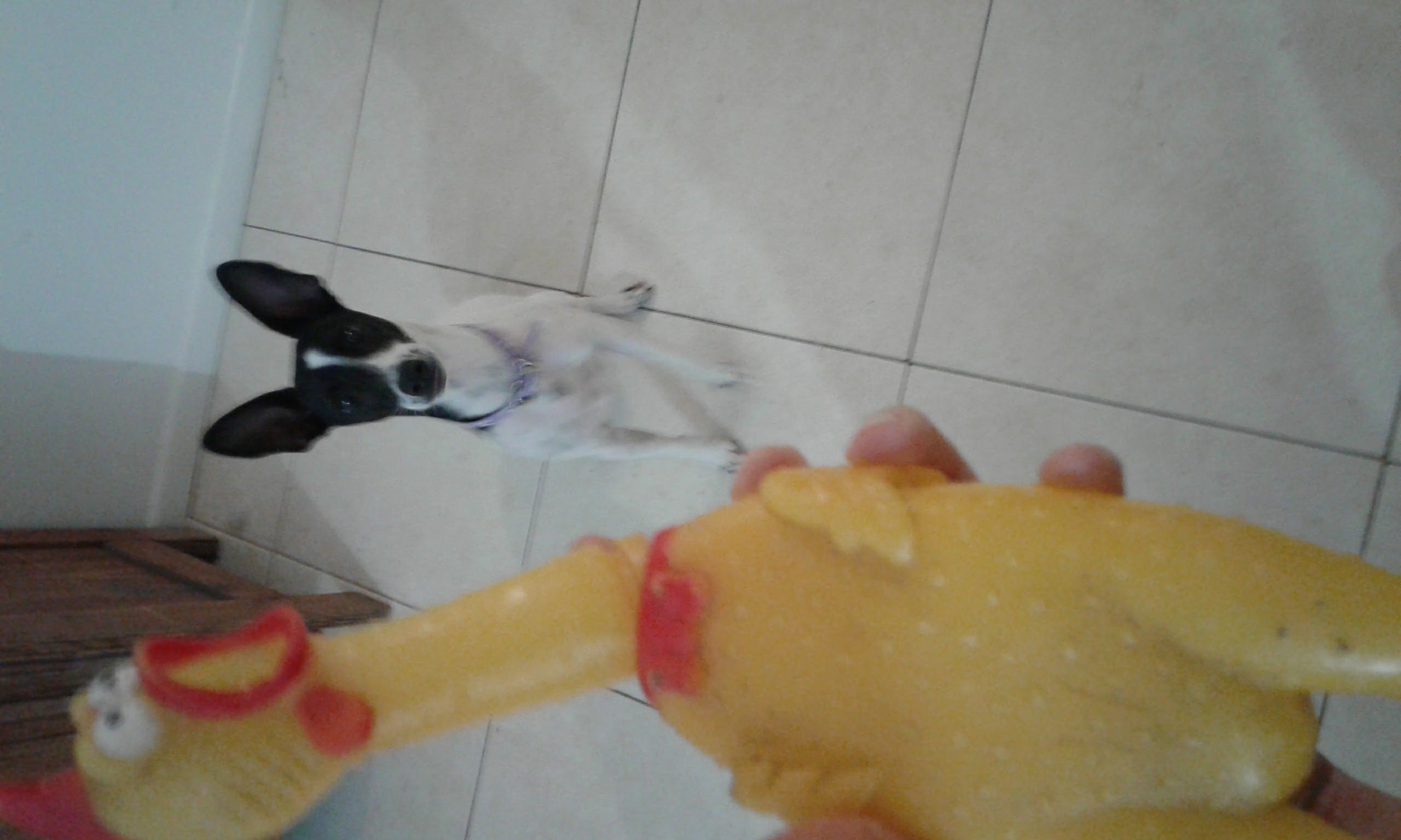 image-7