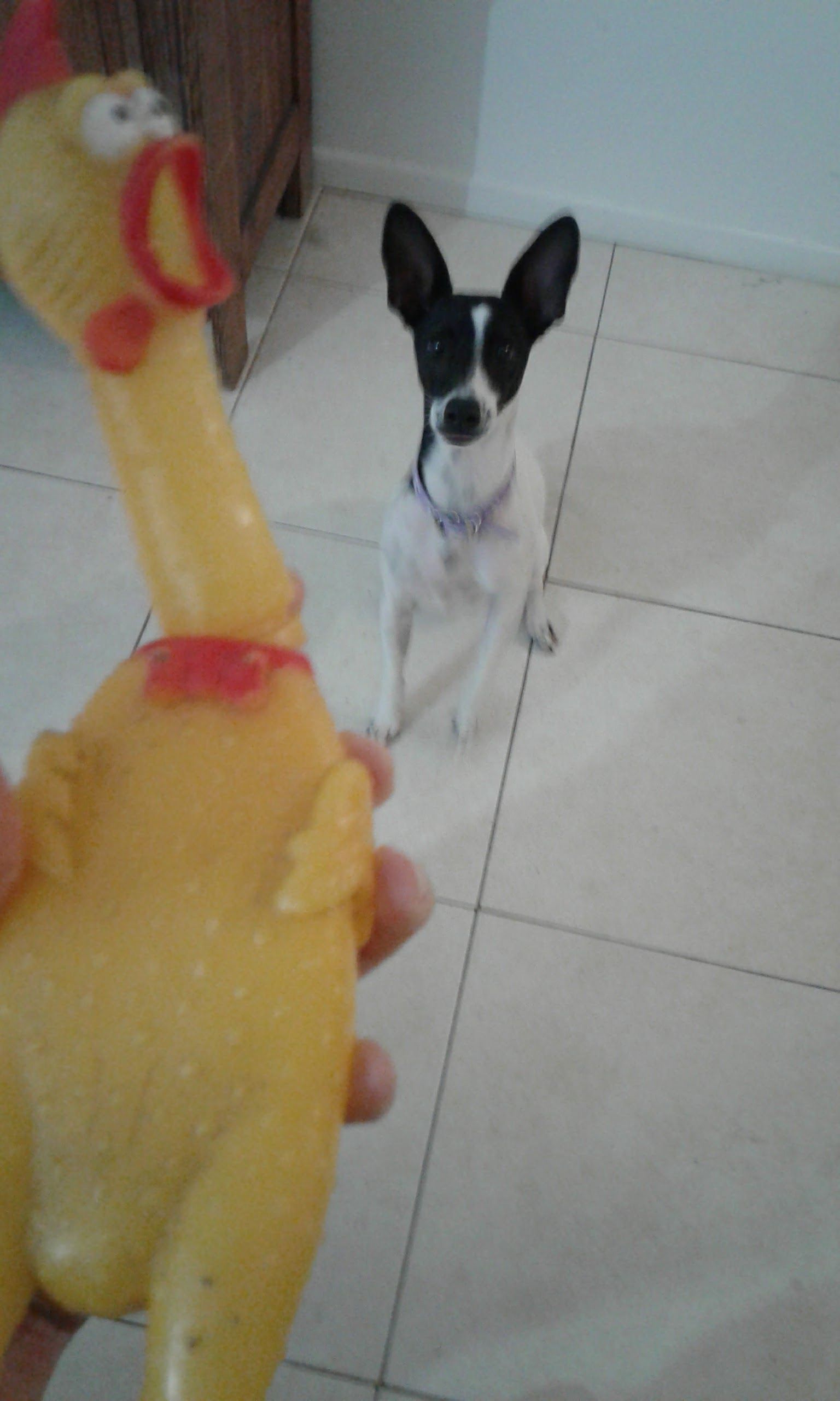 image-7