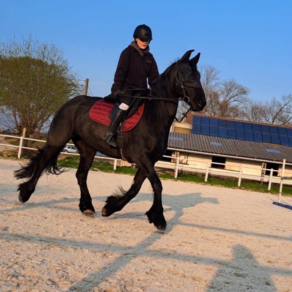 Orphée 