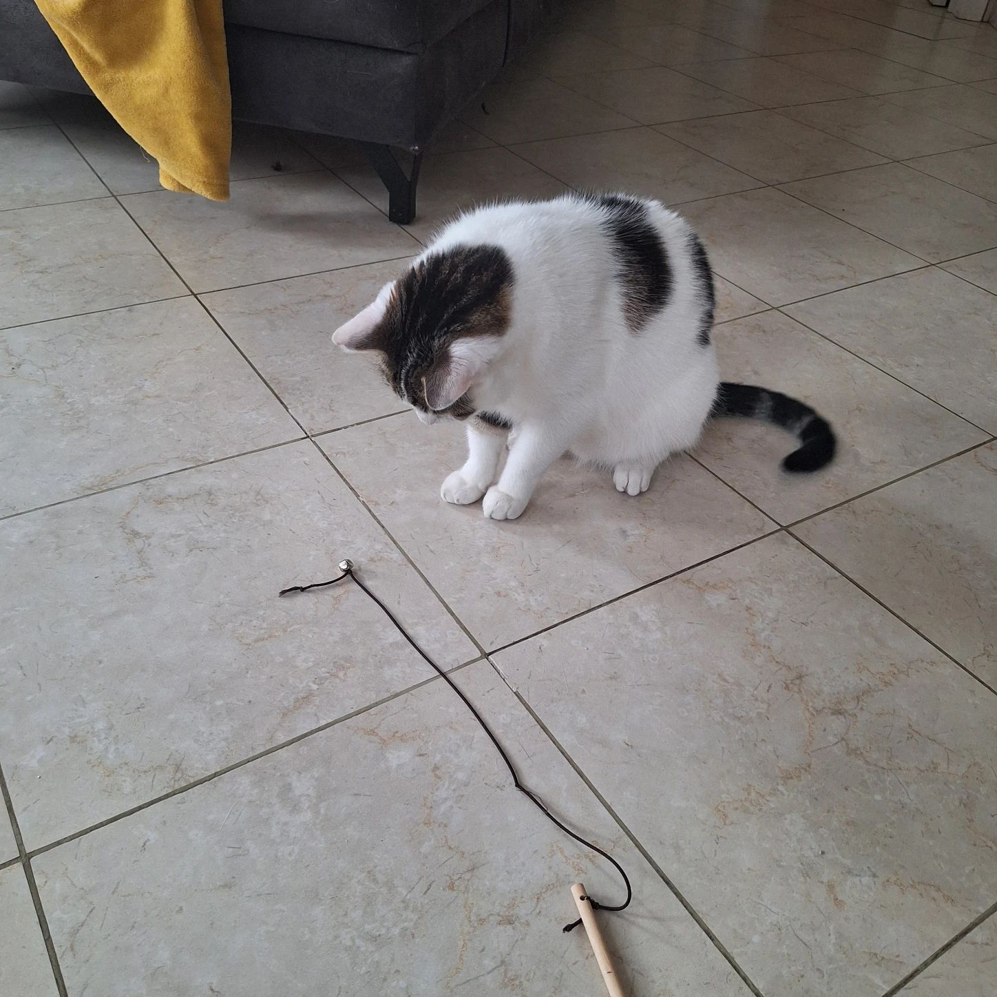 image-11