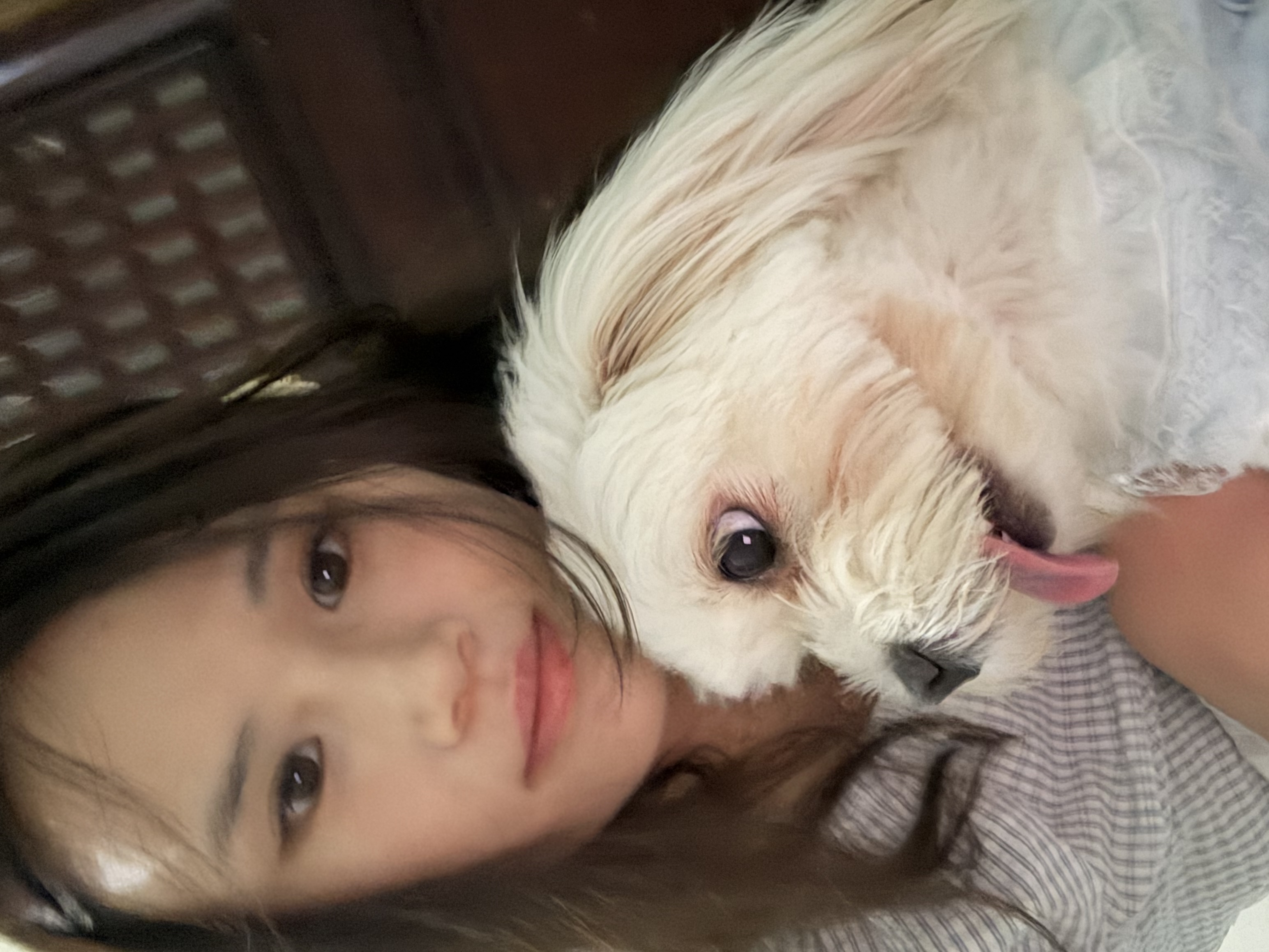 image-2