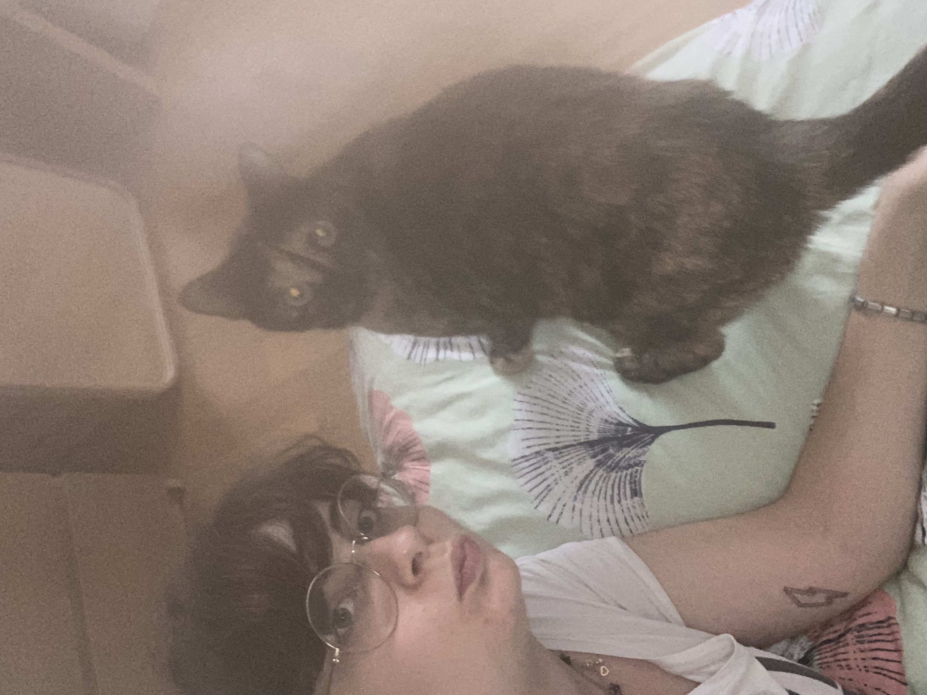 image-8