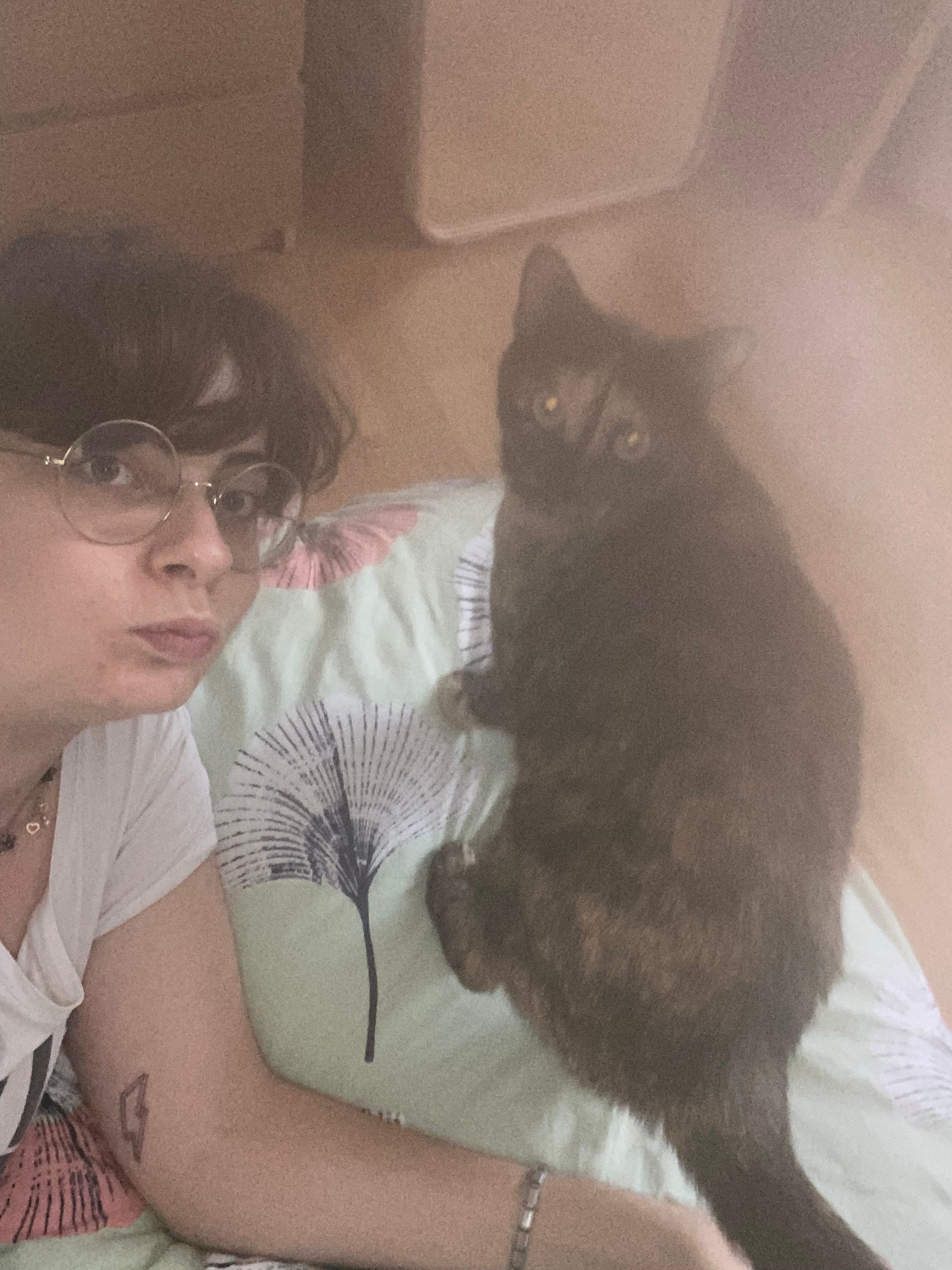 image-8