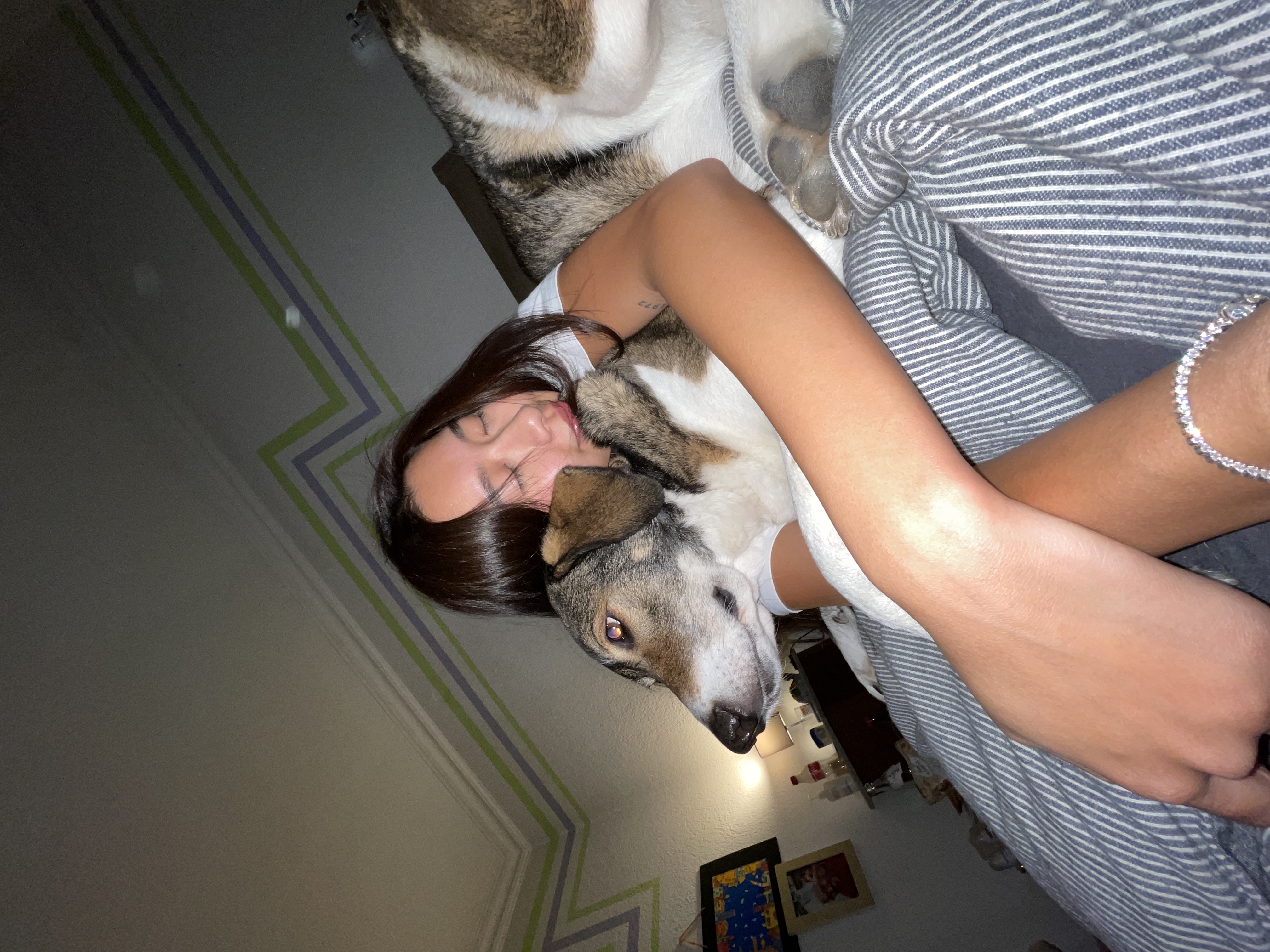 image-7