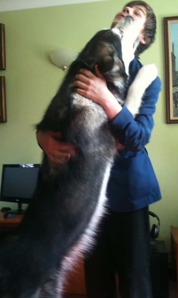 image-6