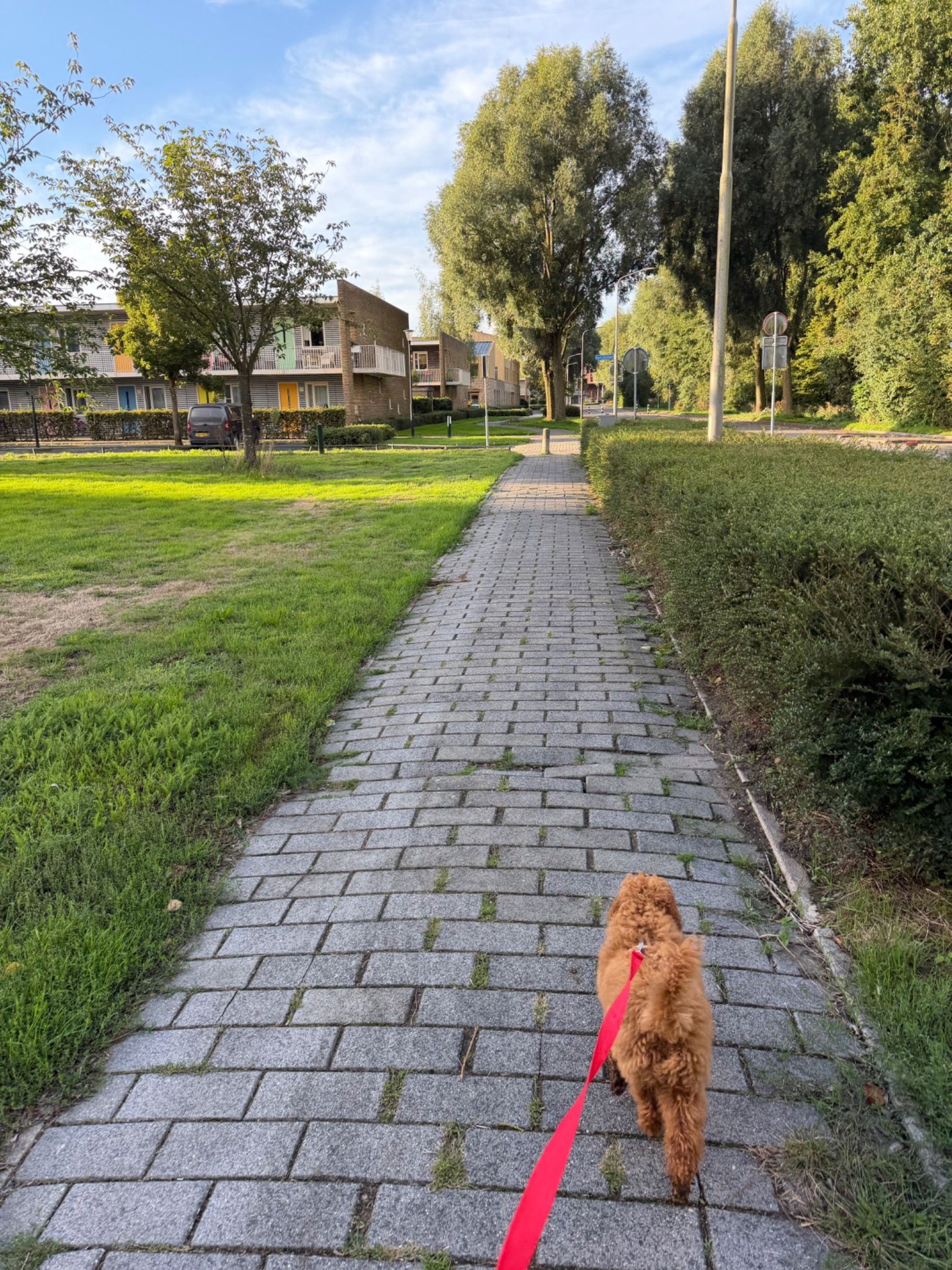 image-26