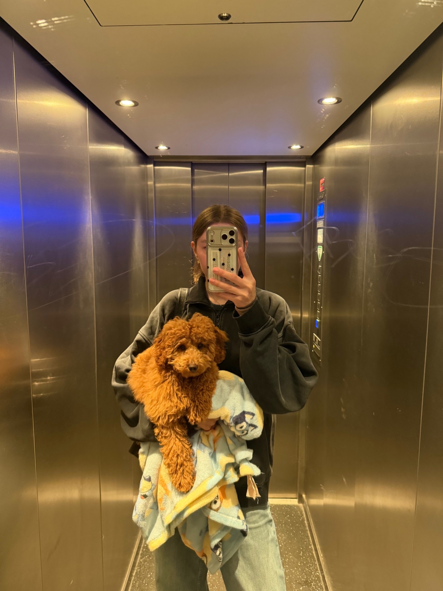 image-7