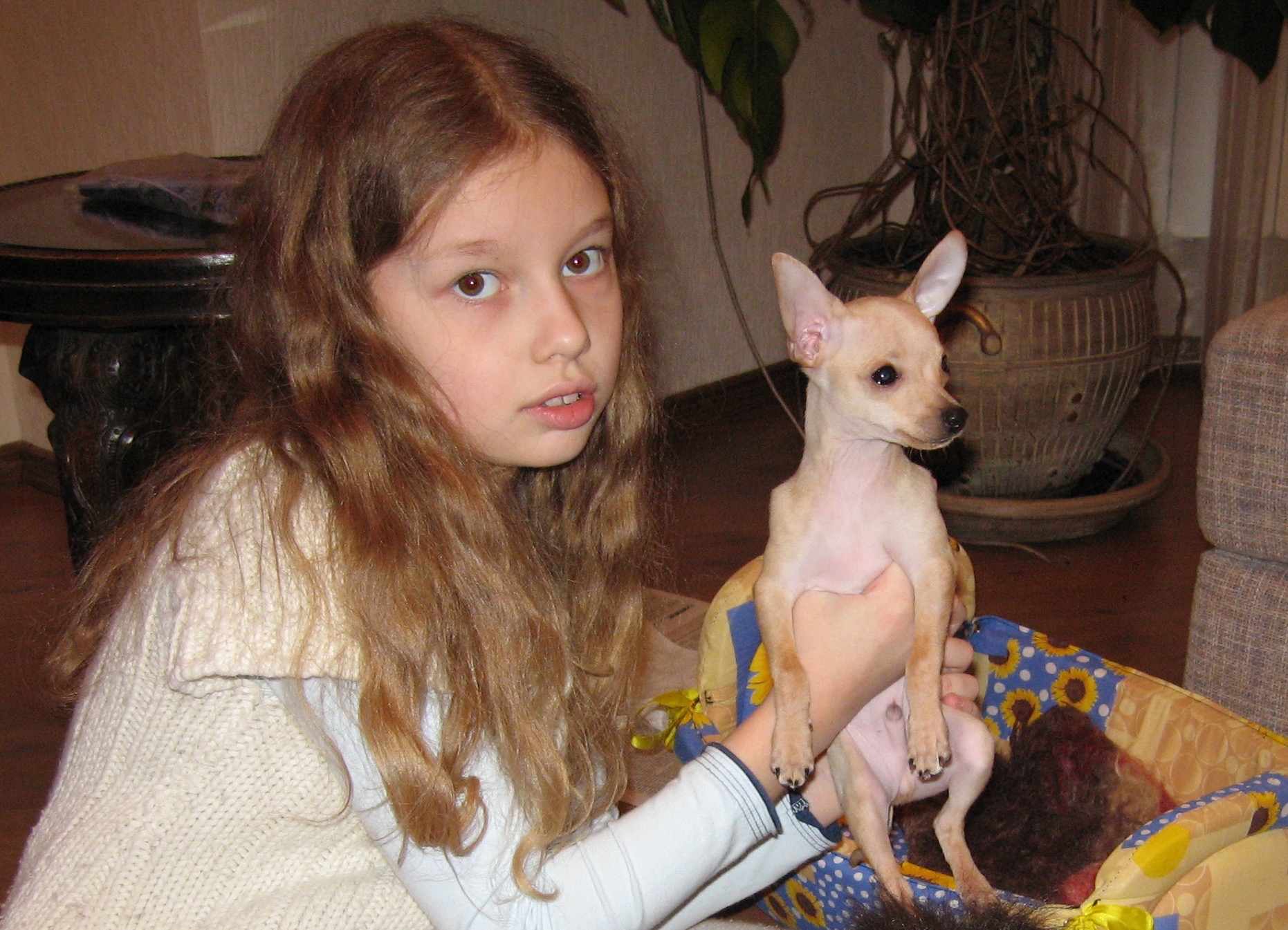 image-5