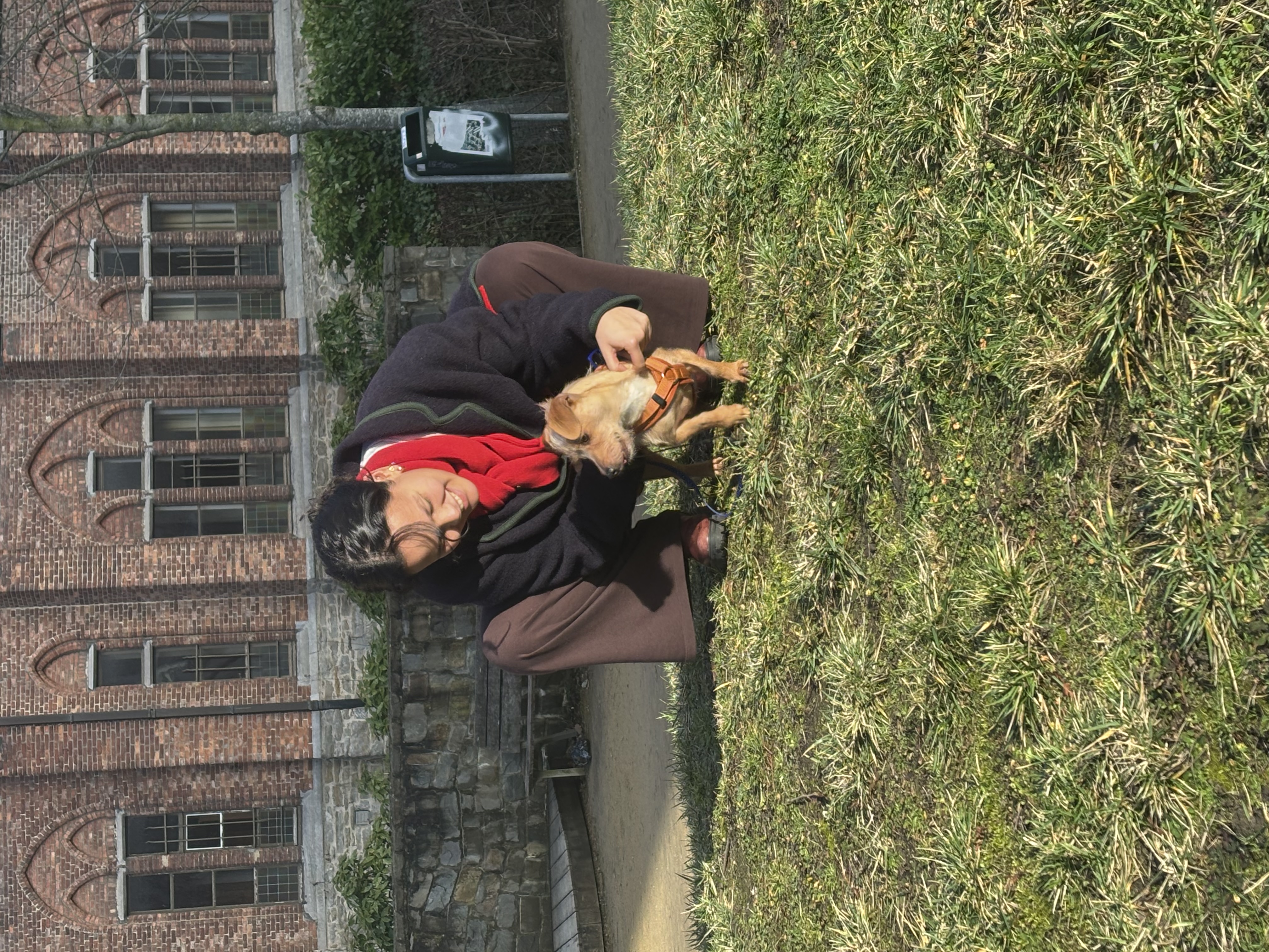 image-3