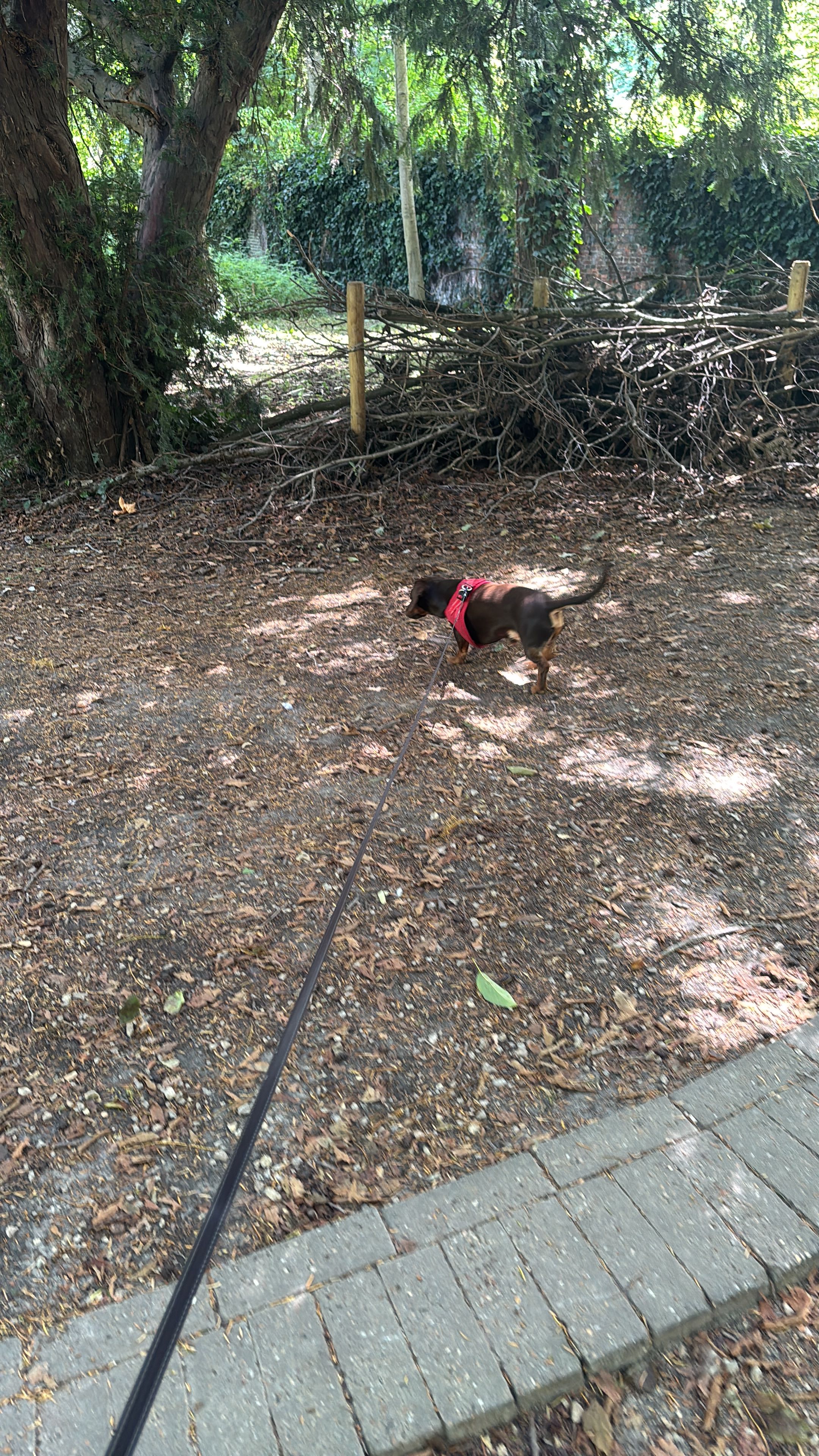 image-13