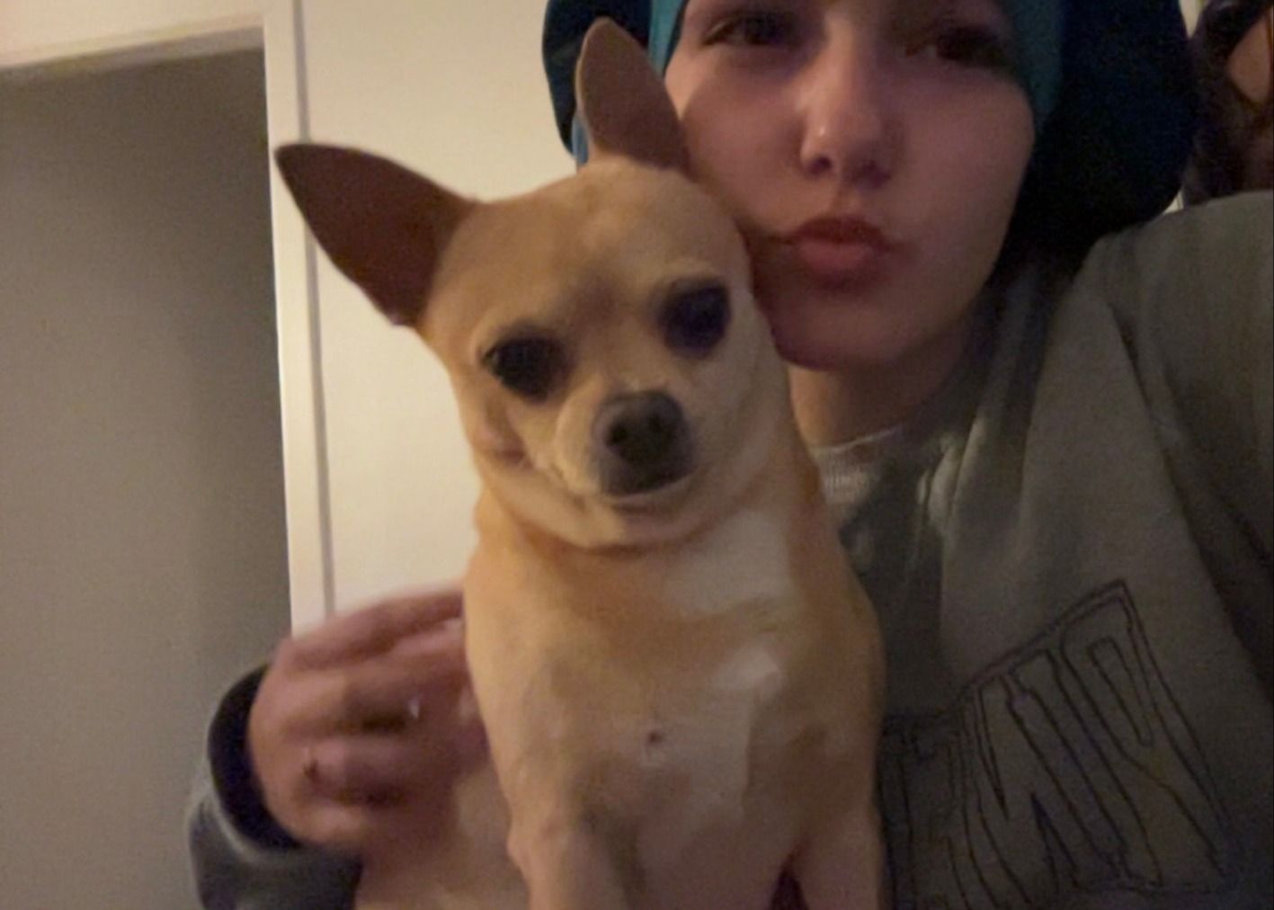 image-6