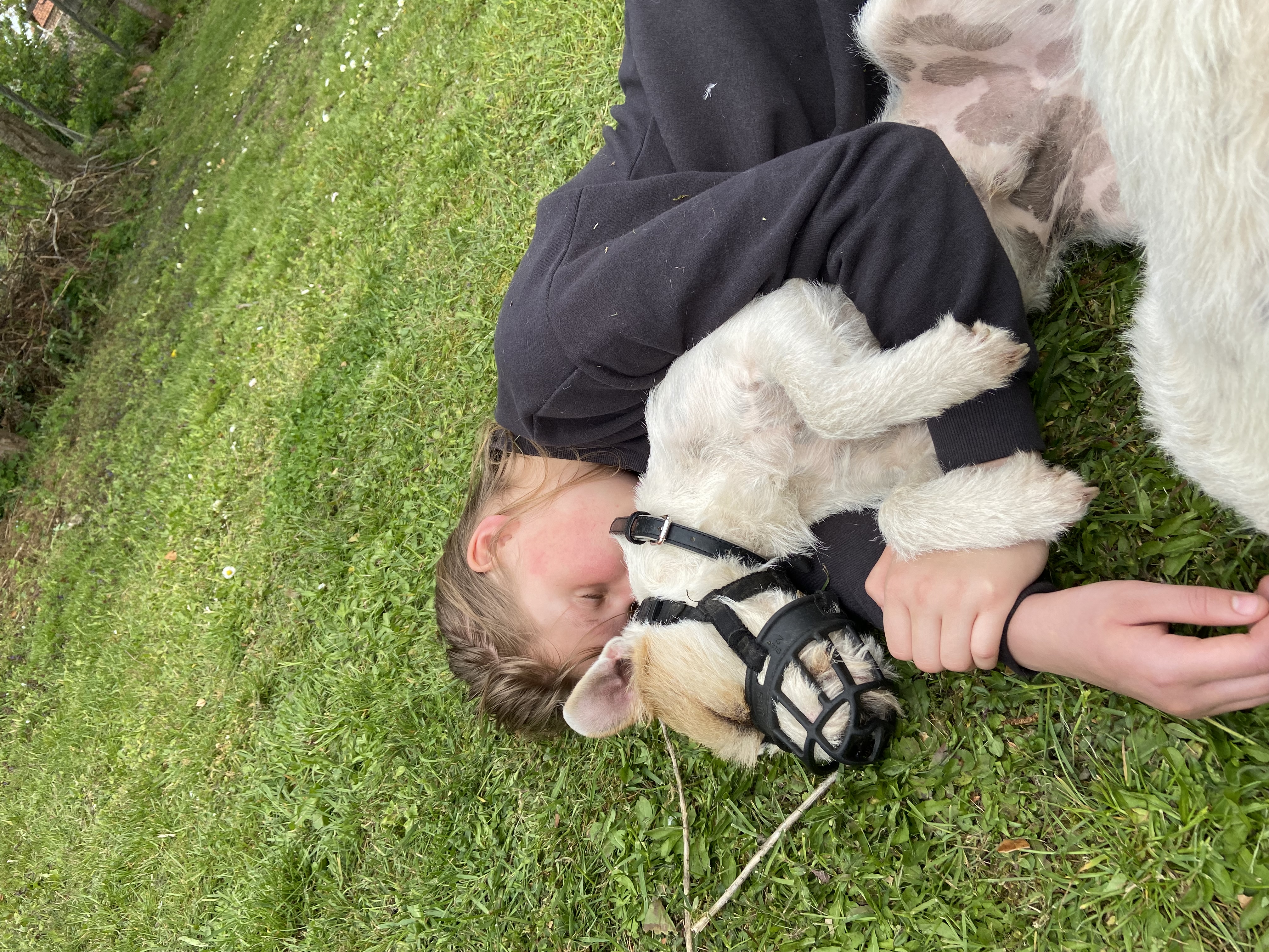 image-8