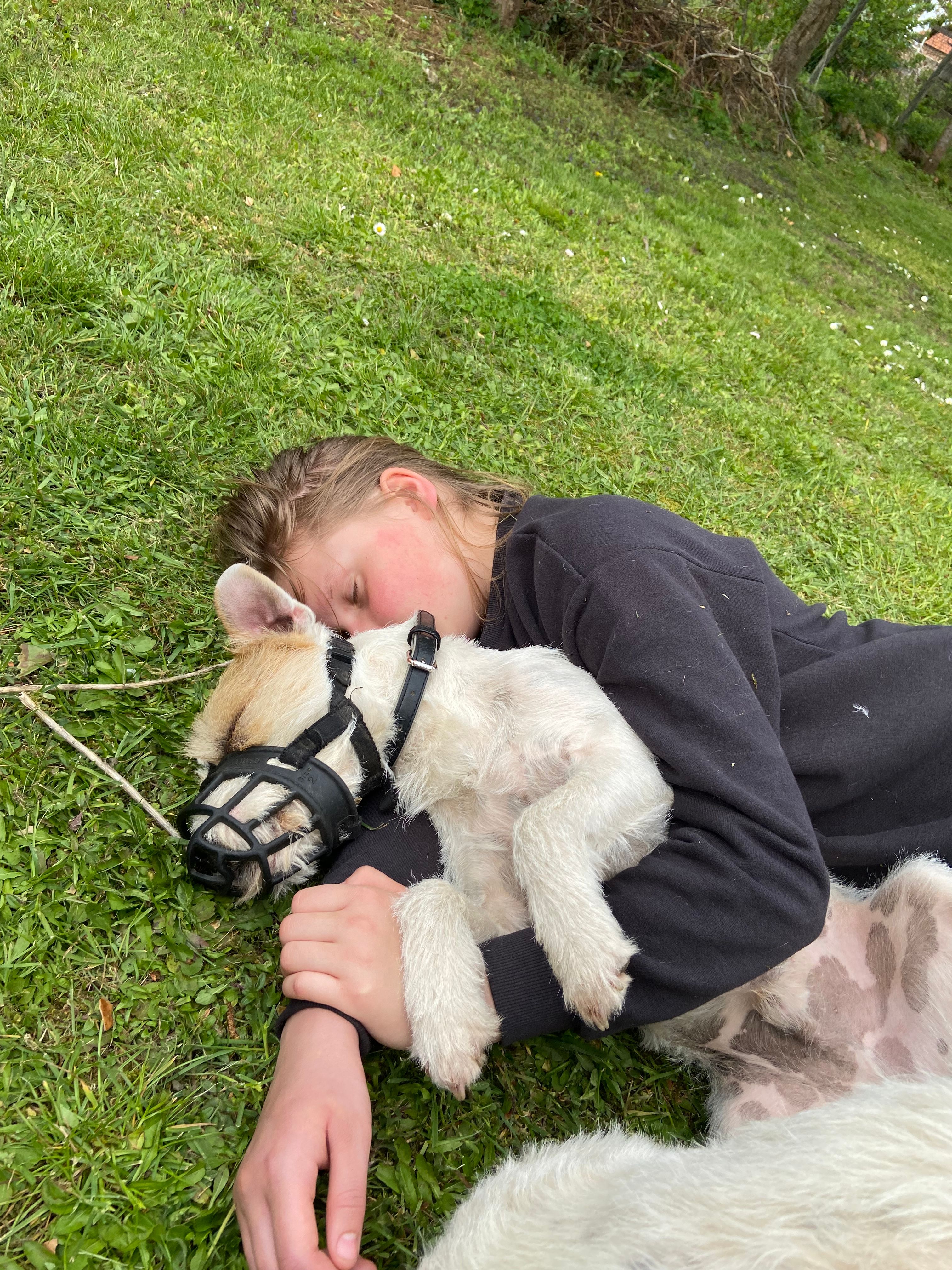 image-8
