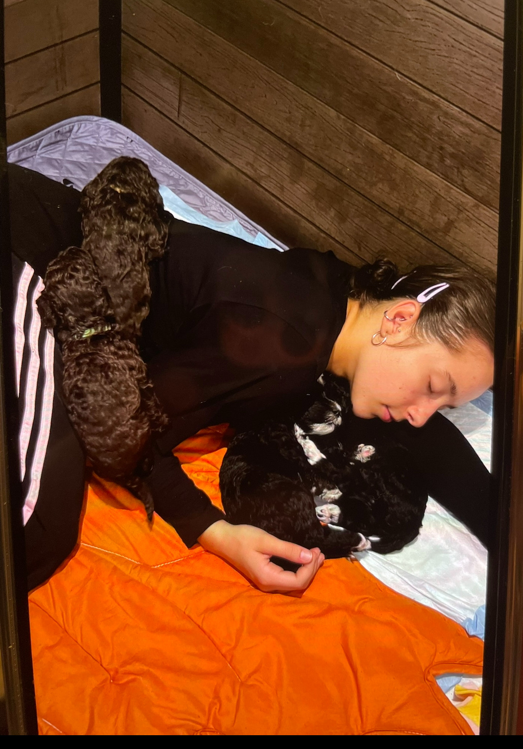 image-6