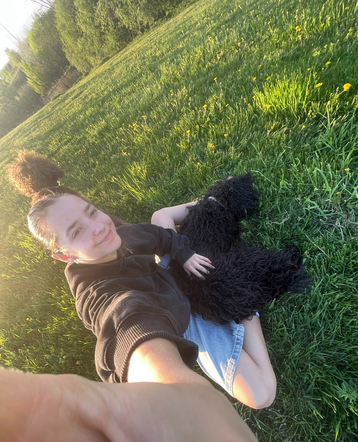 image-7