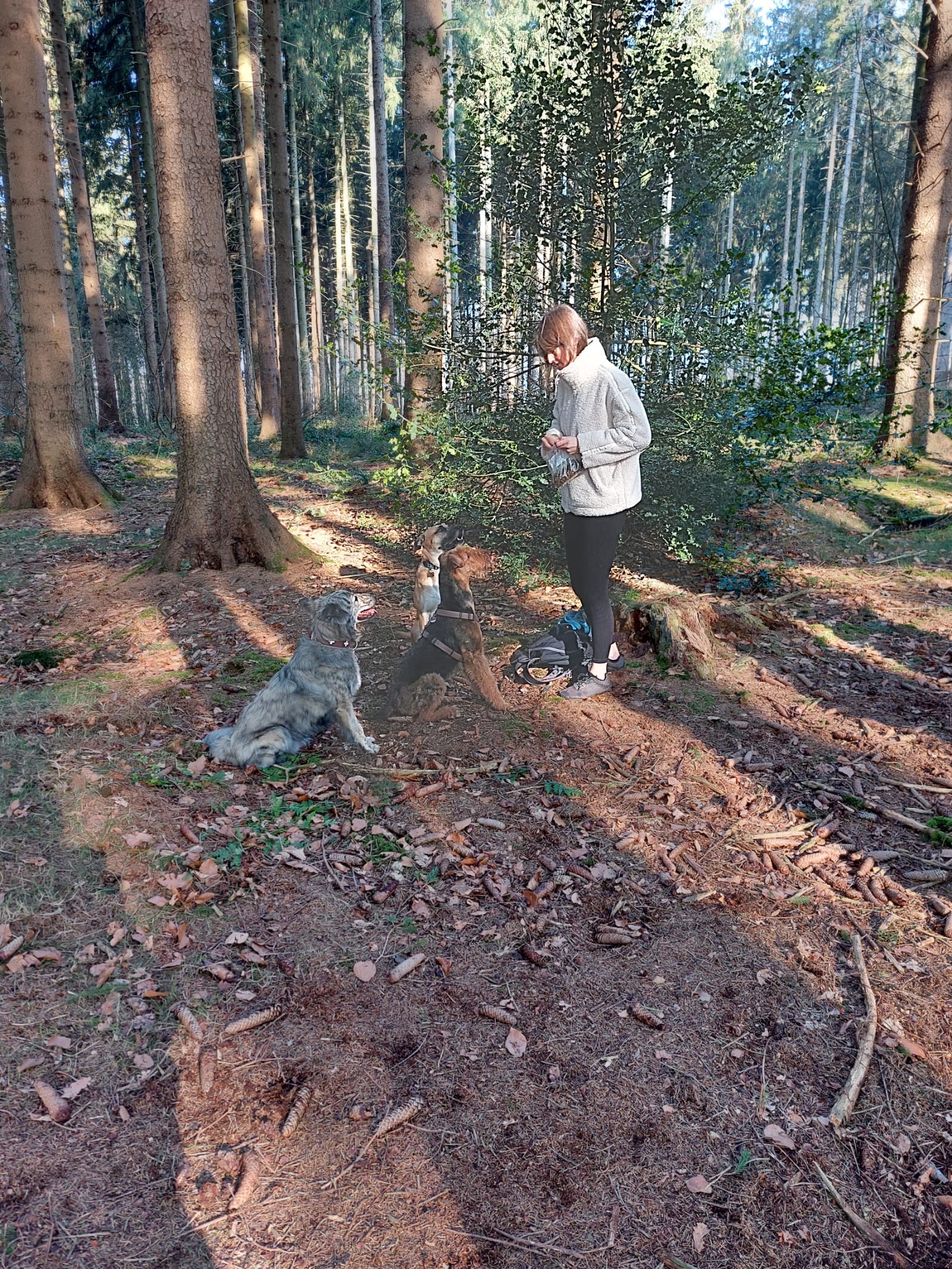 image-2