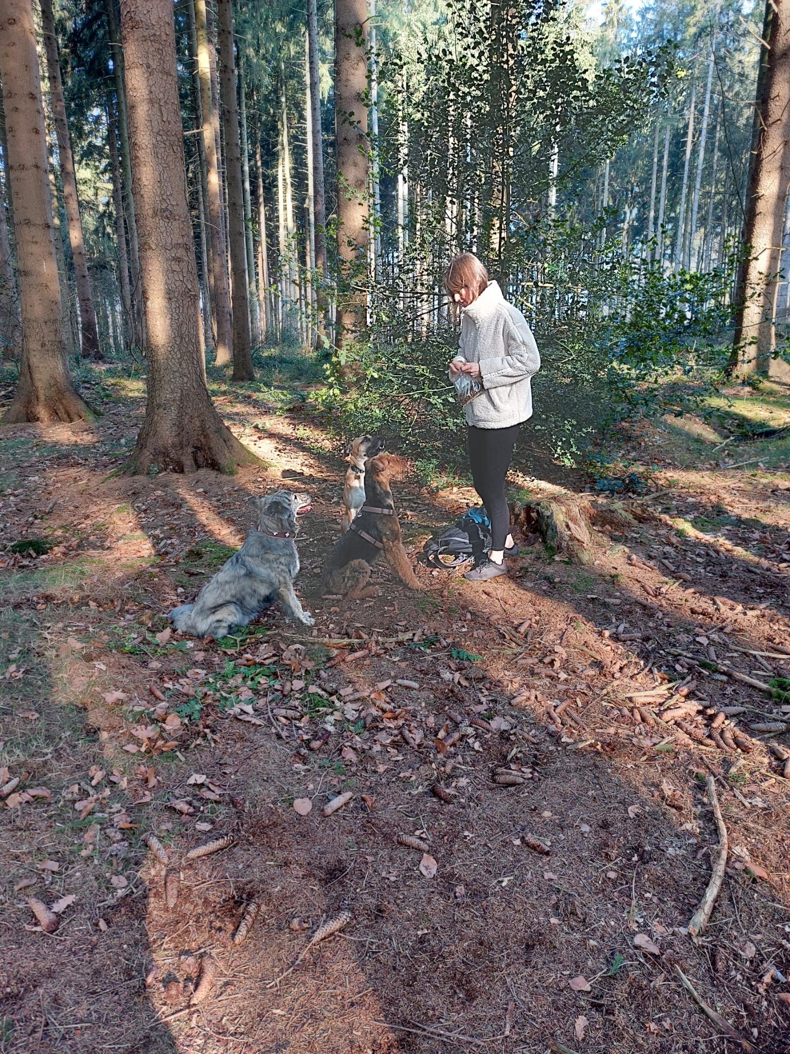 image-2