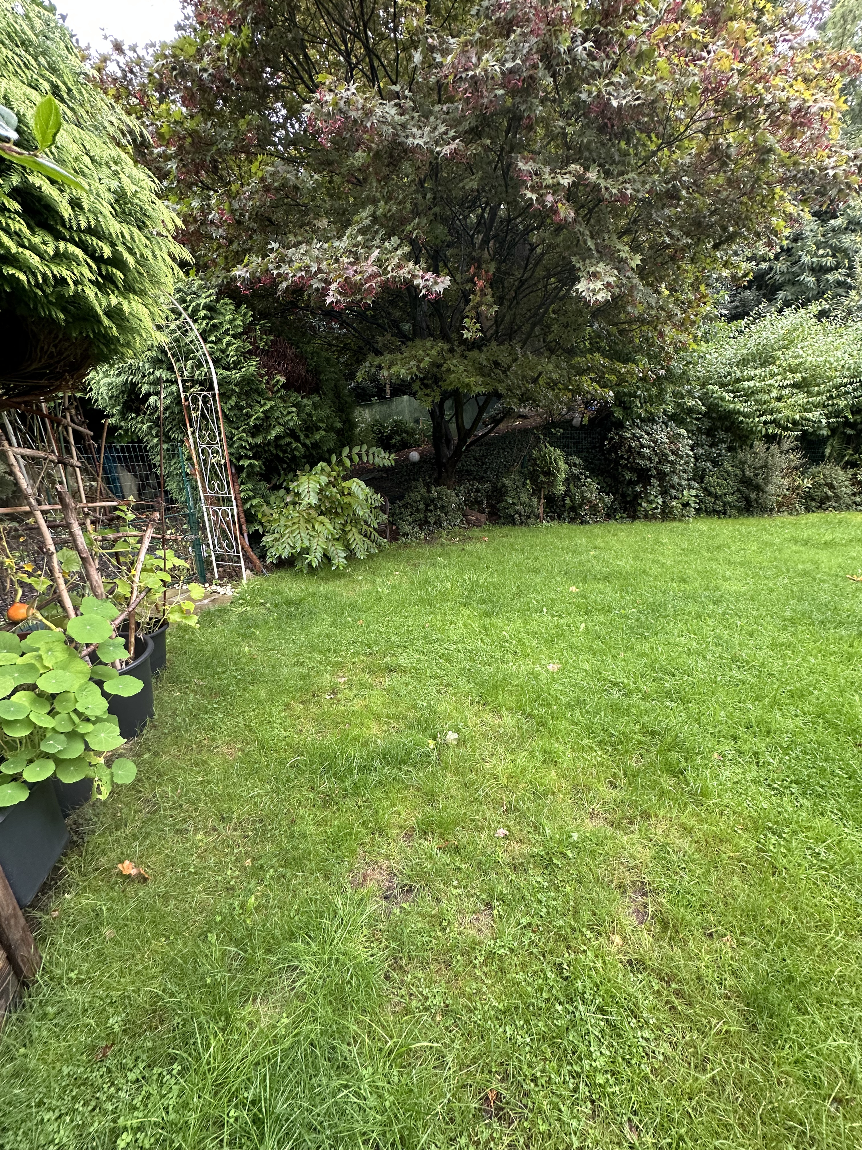 image-17