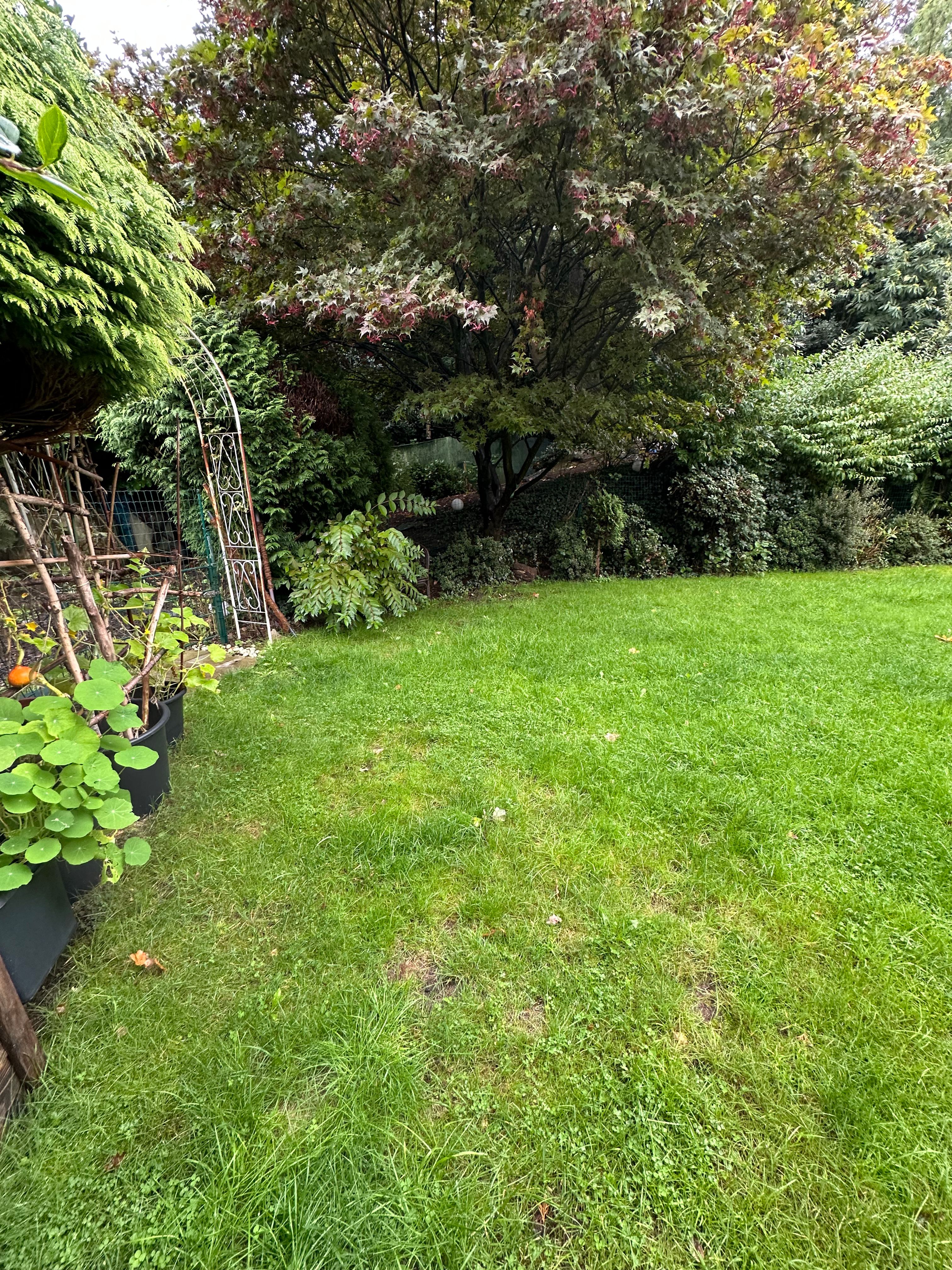 image-17
