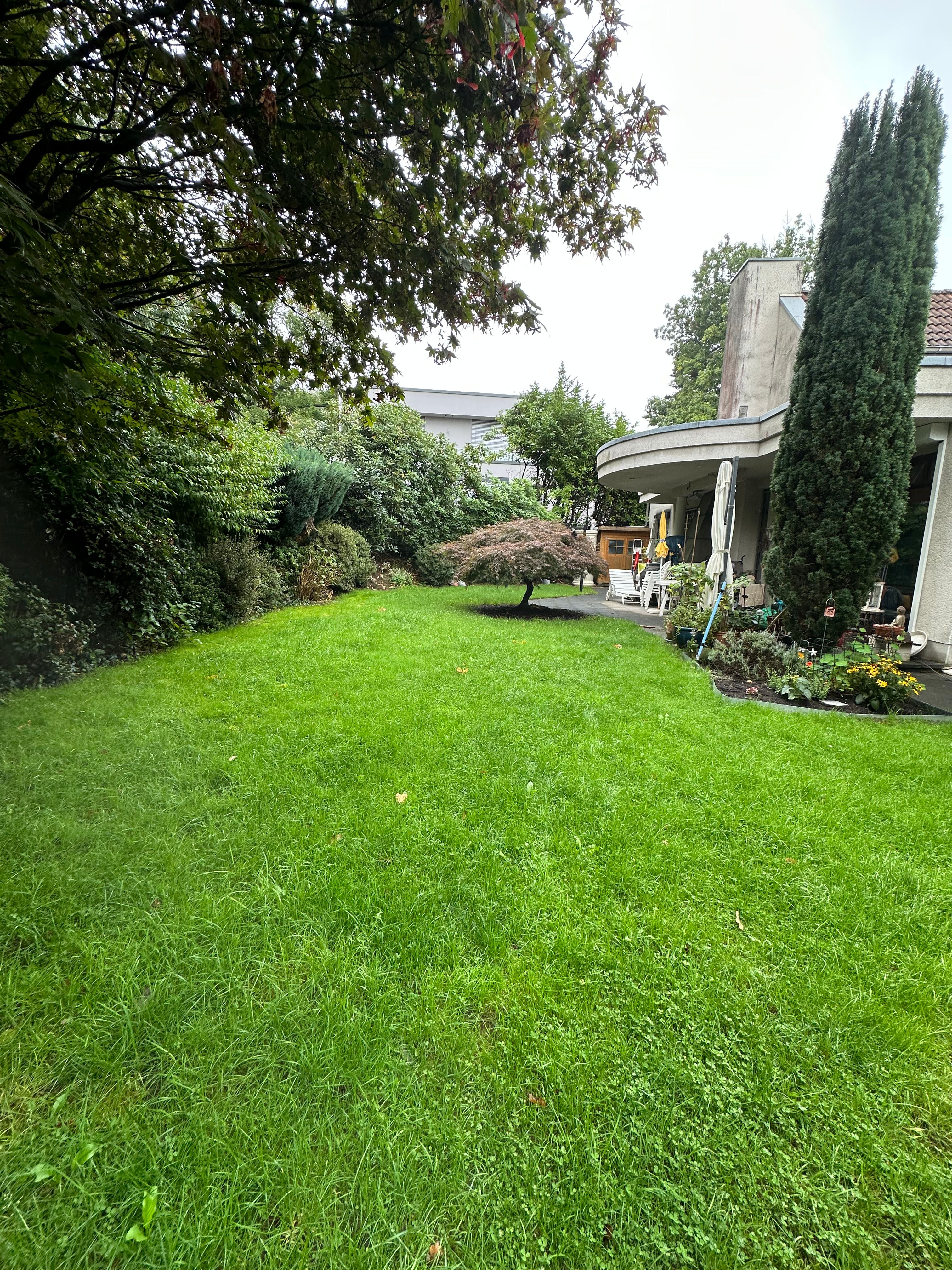 image-19