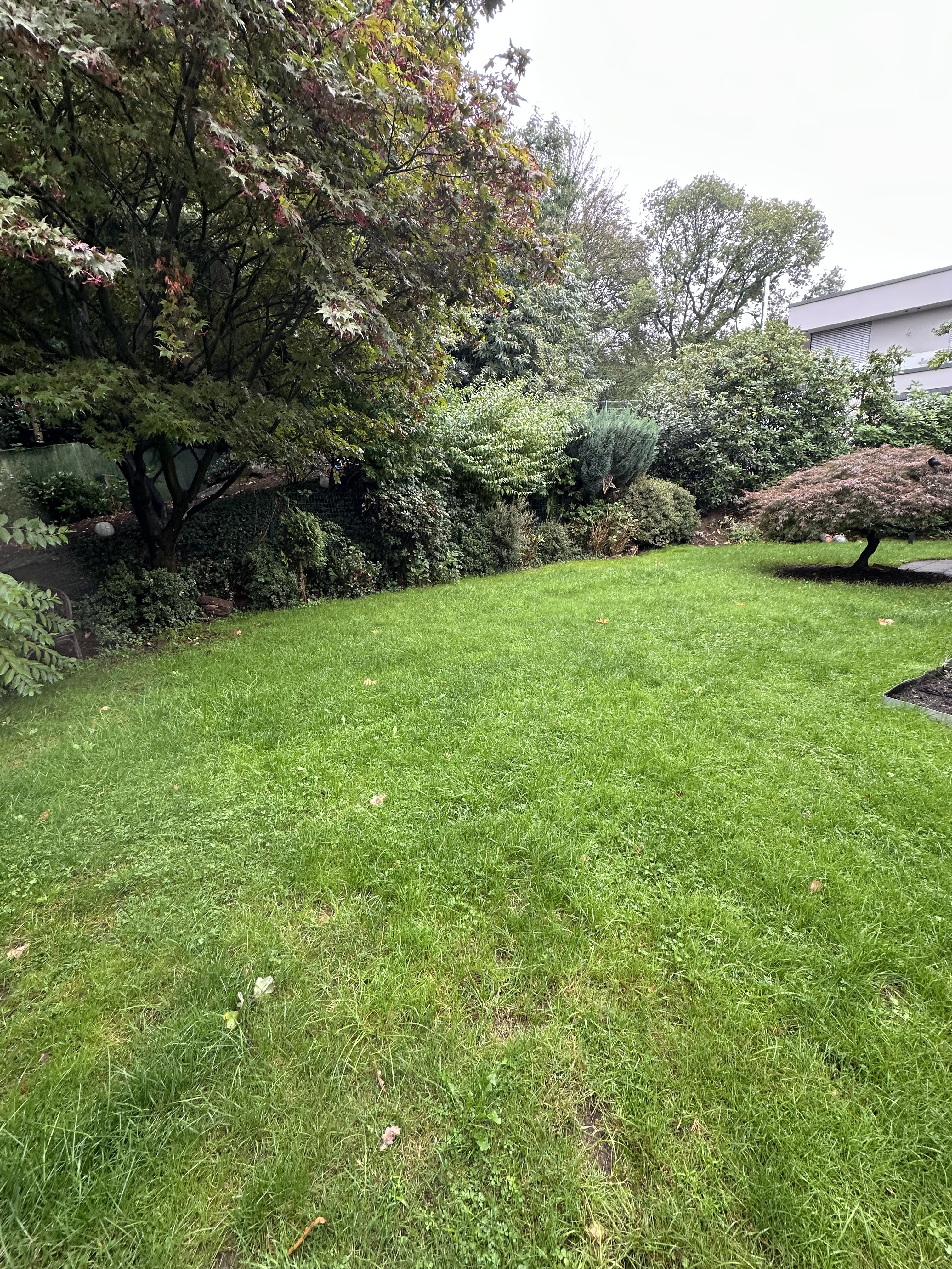 image-18