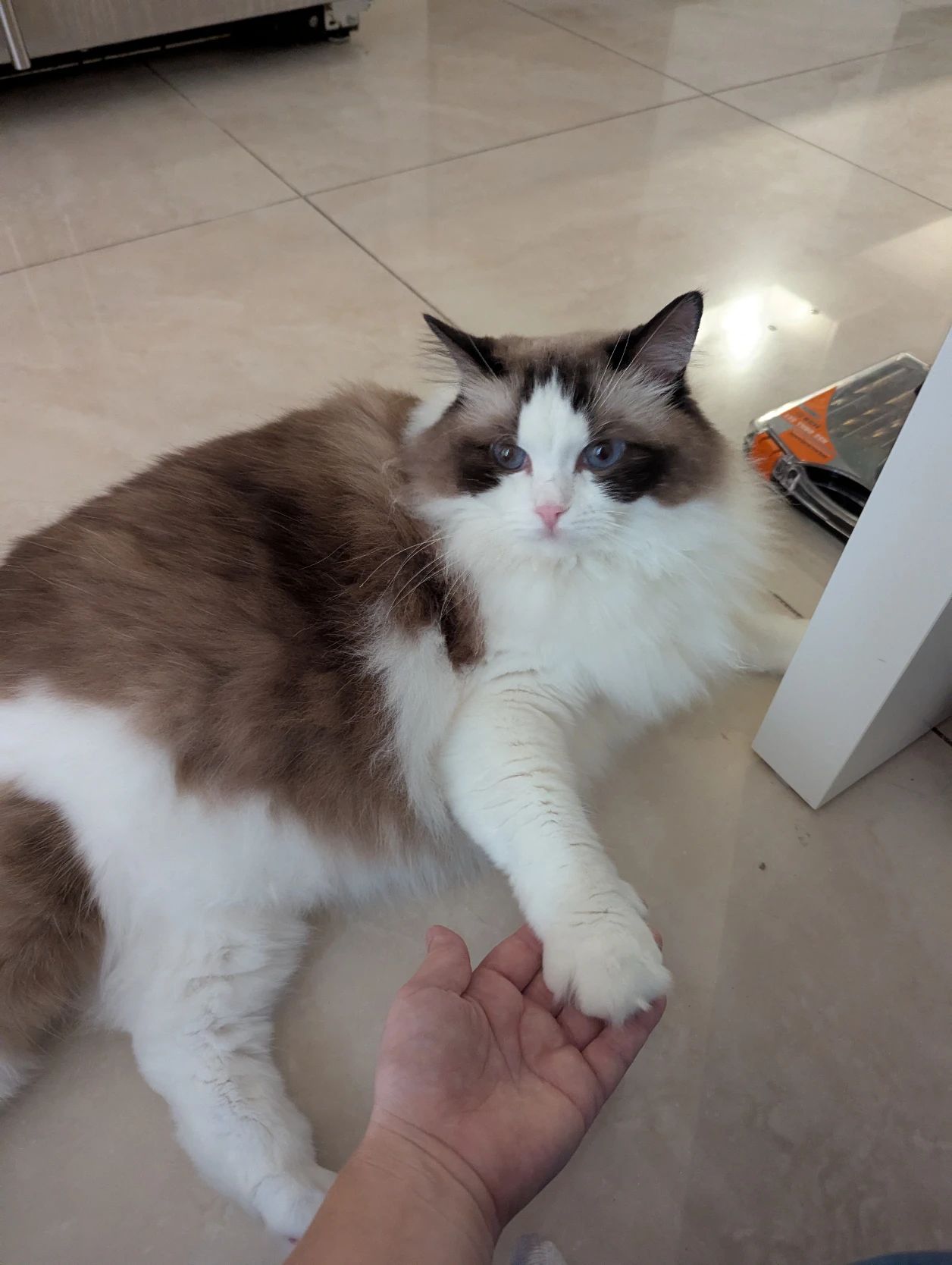 image-7