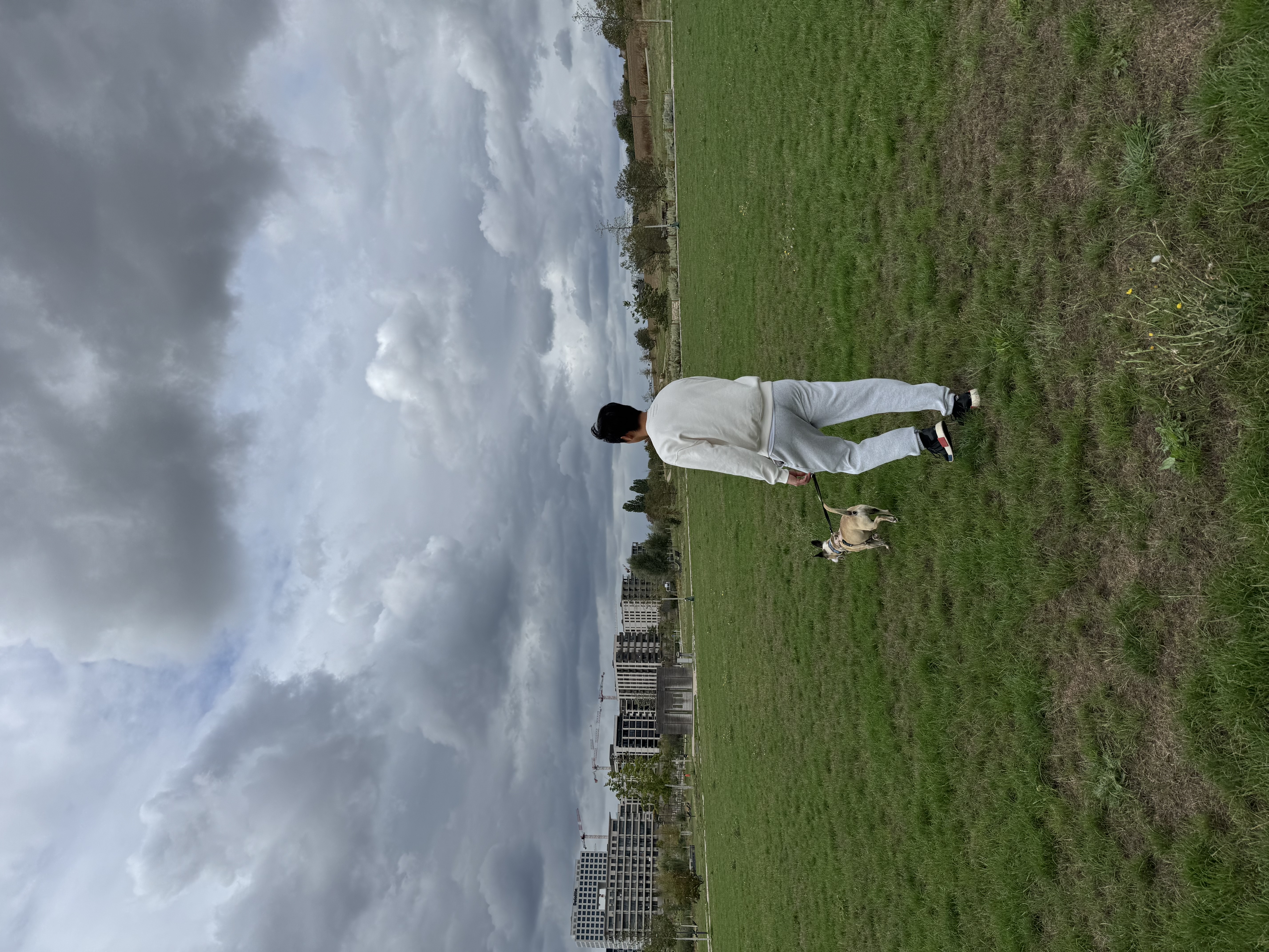 image-14