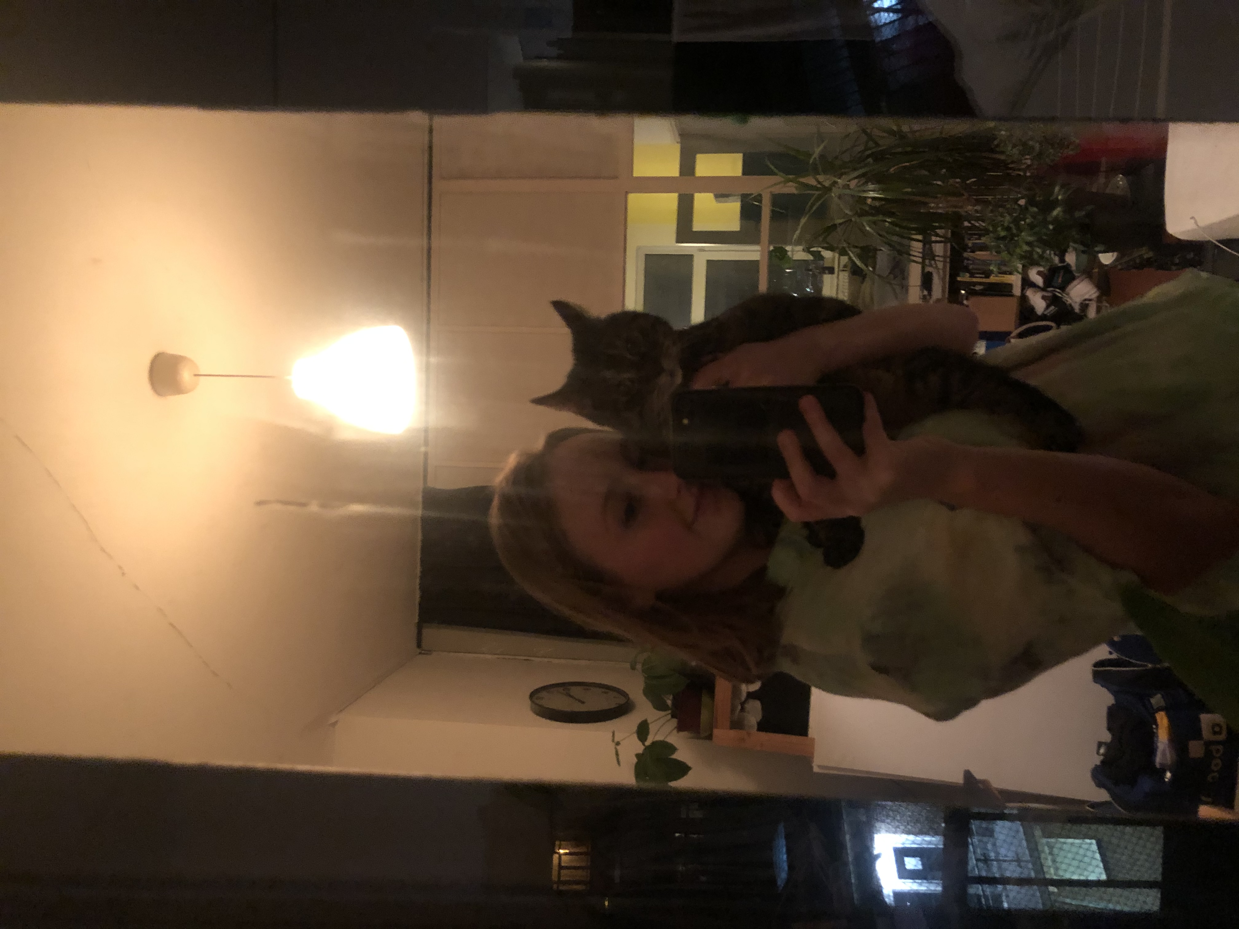 image-7