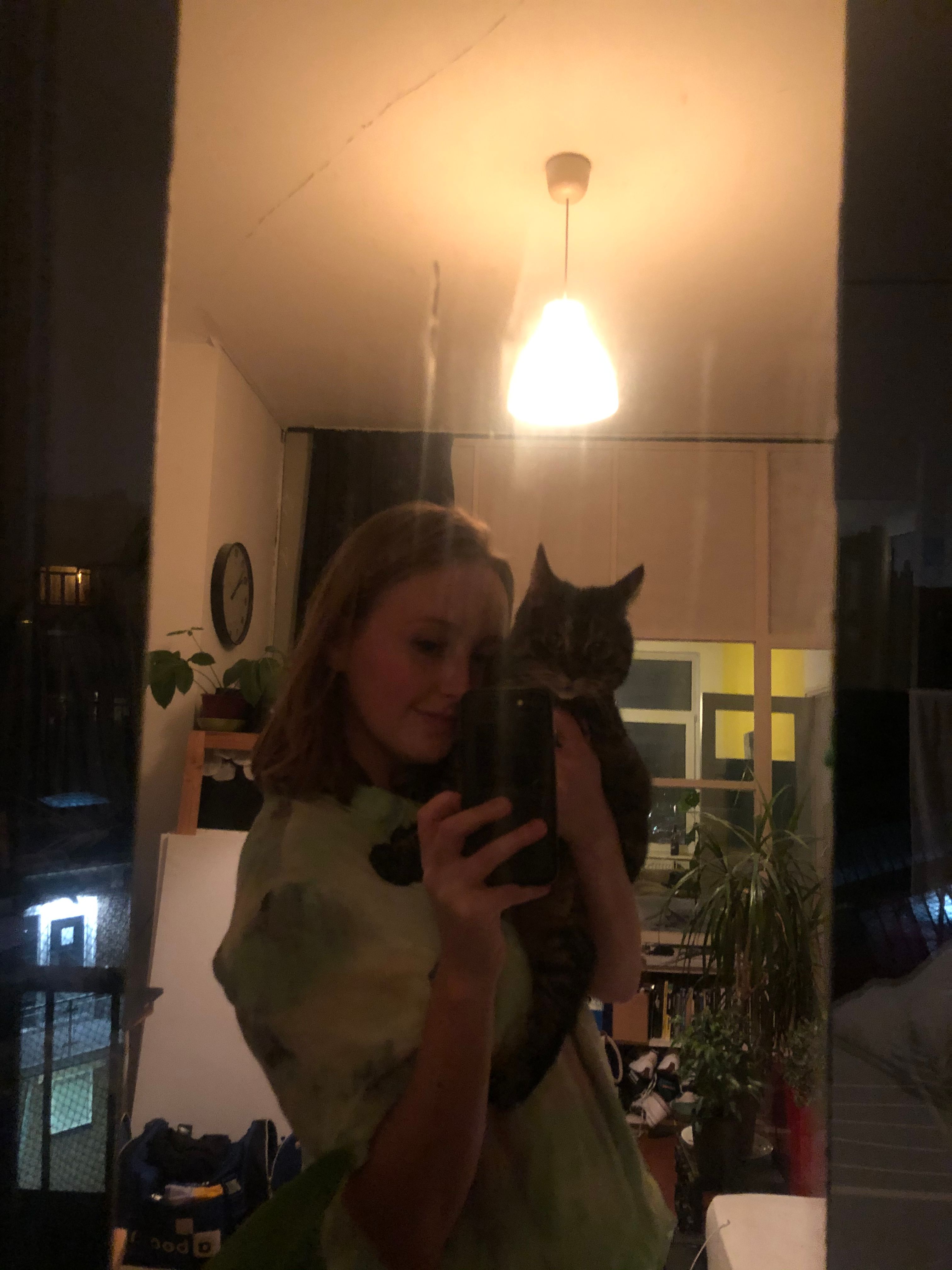 image-7