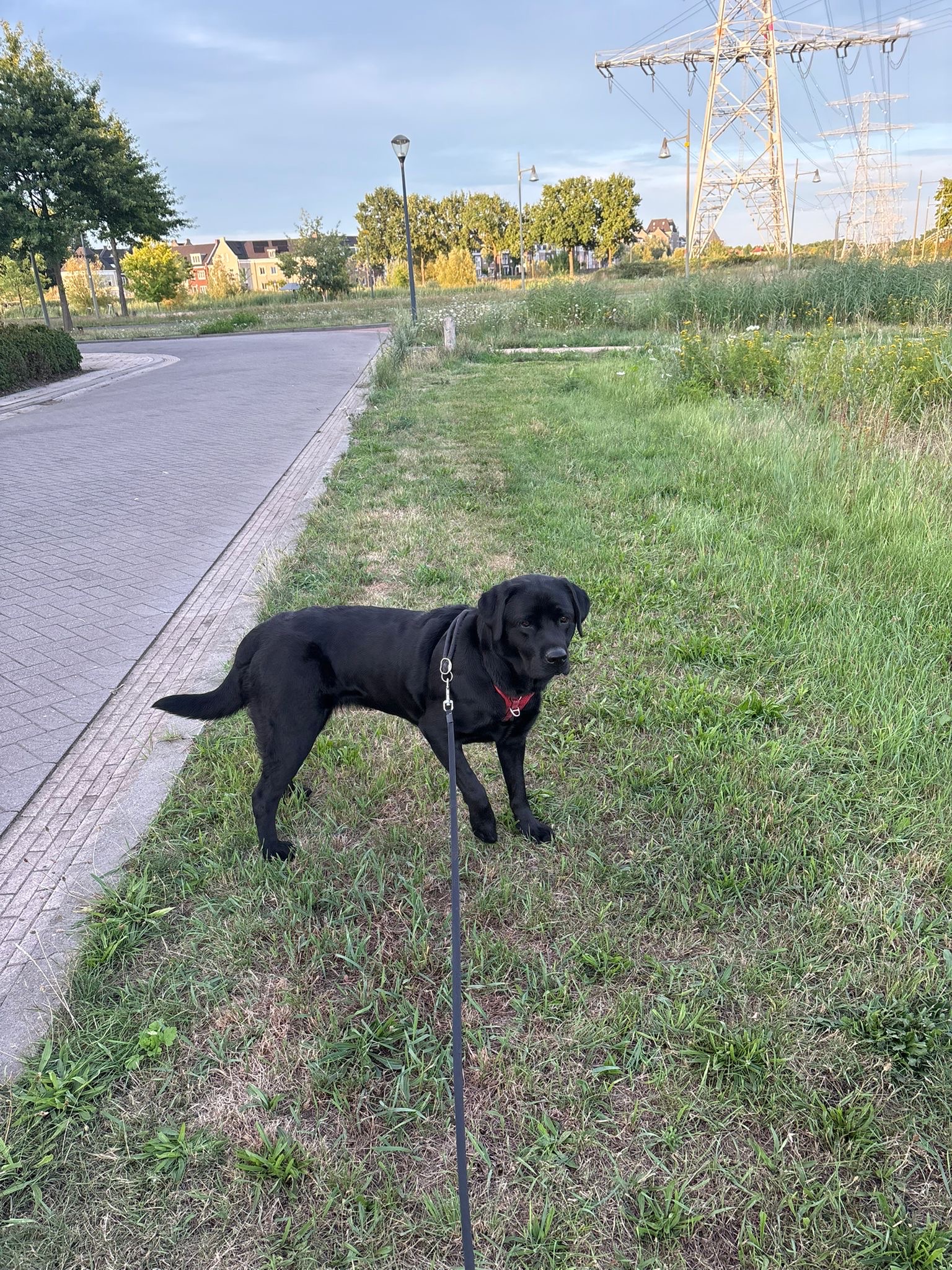 image-16