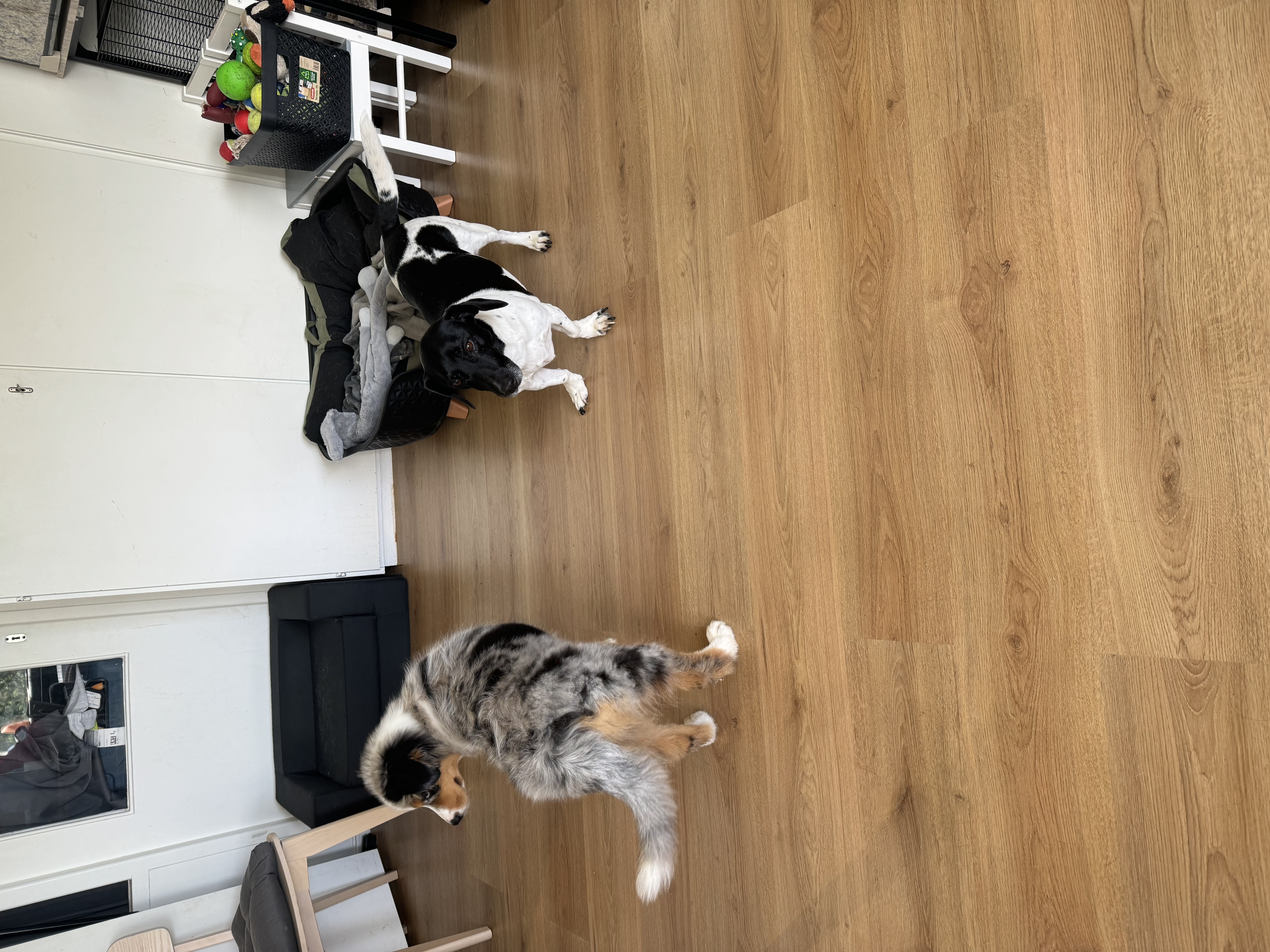 image-44