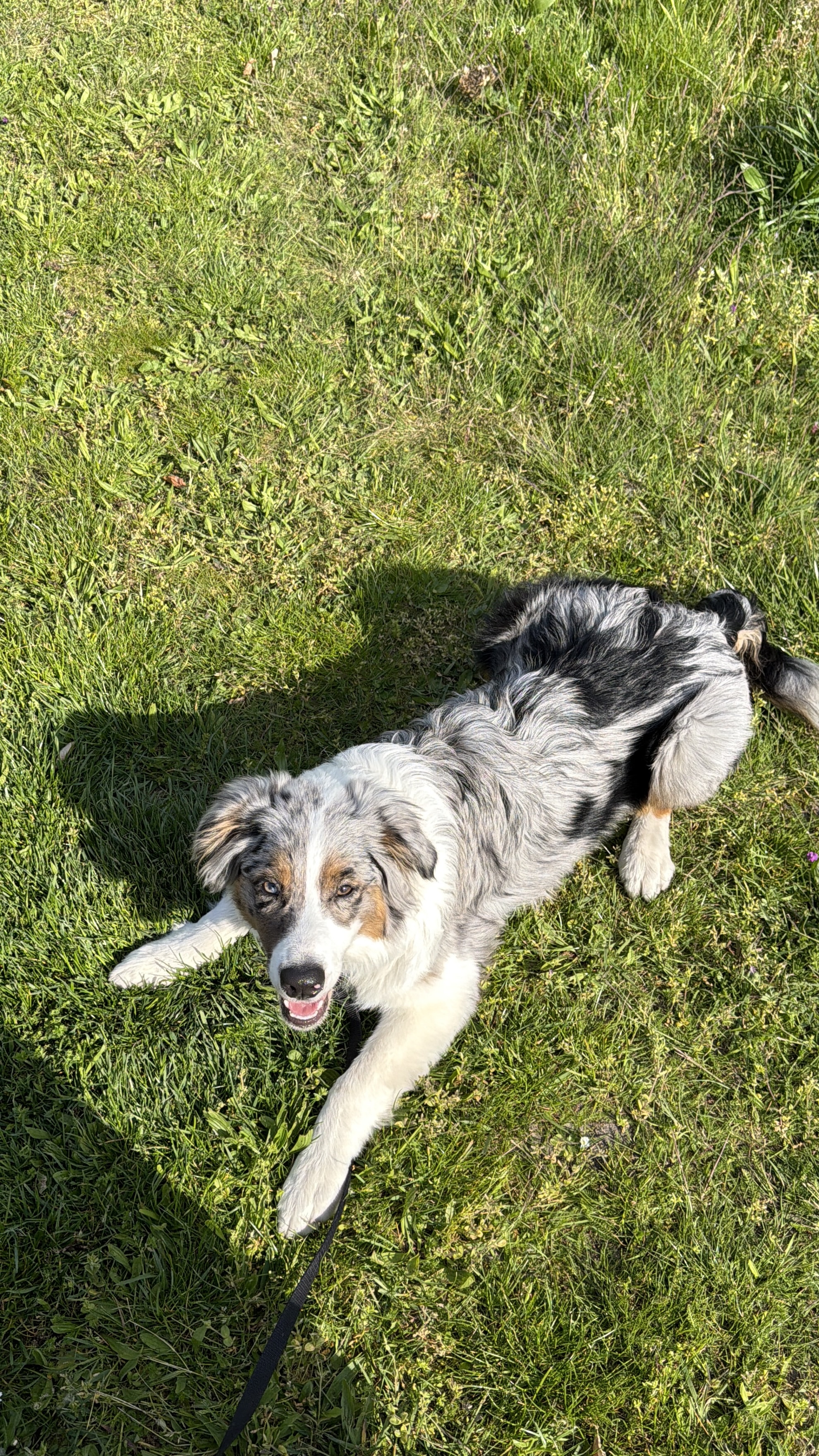 image-8